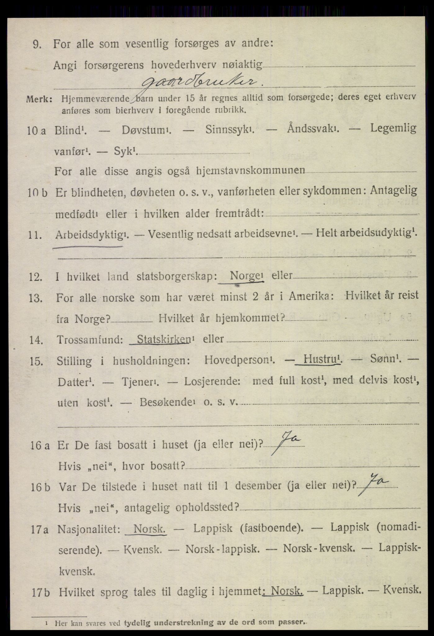 SAT, 1920 census for Snåsa, 1920, p. 4951