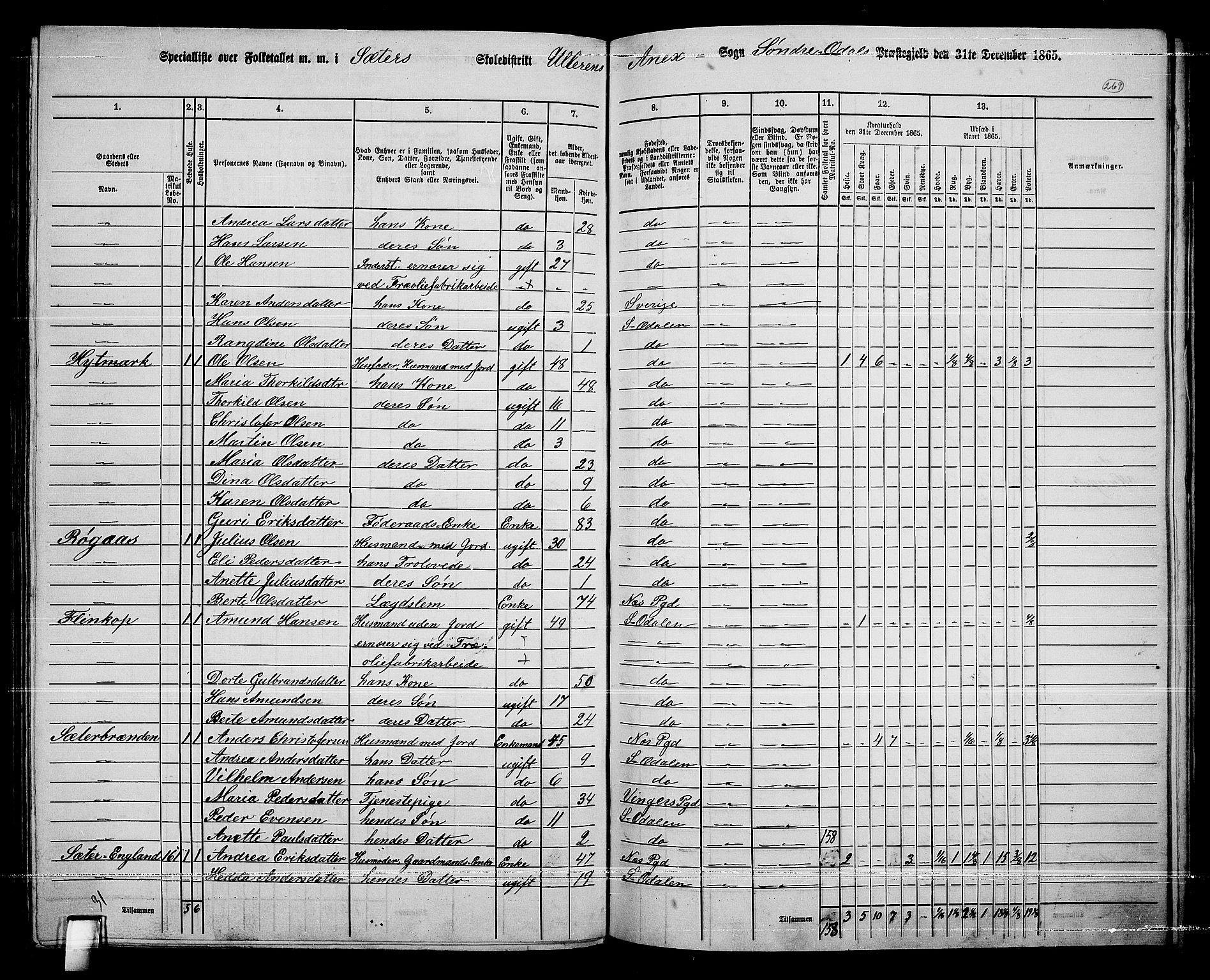 RA, 1865 census for Sør-Odal, 1865, p. 239