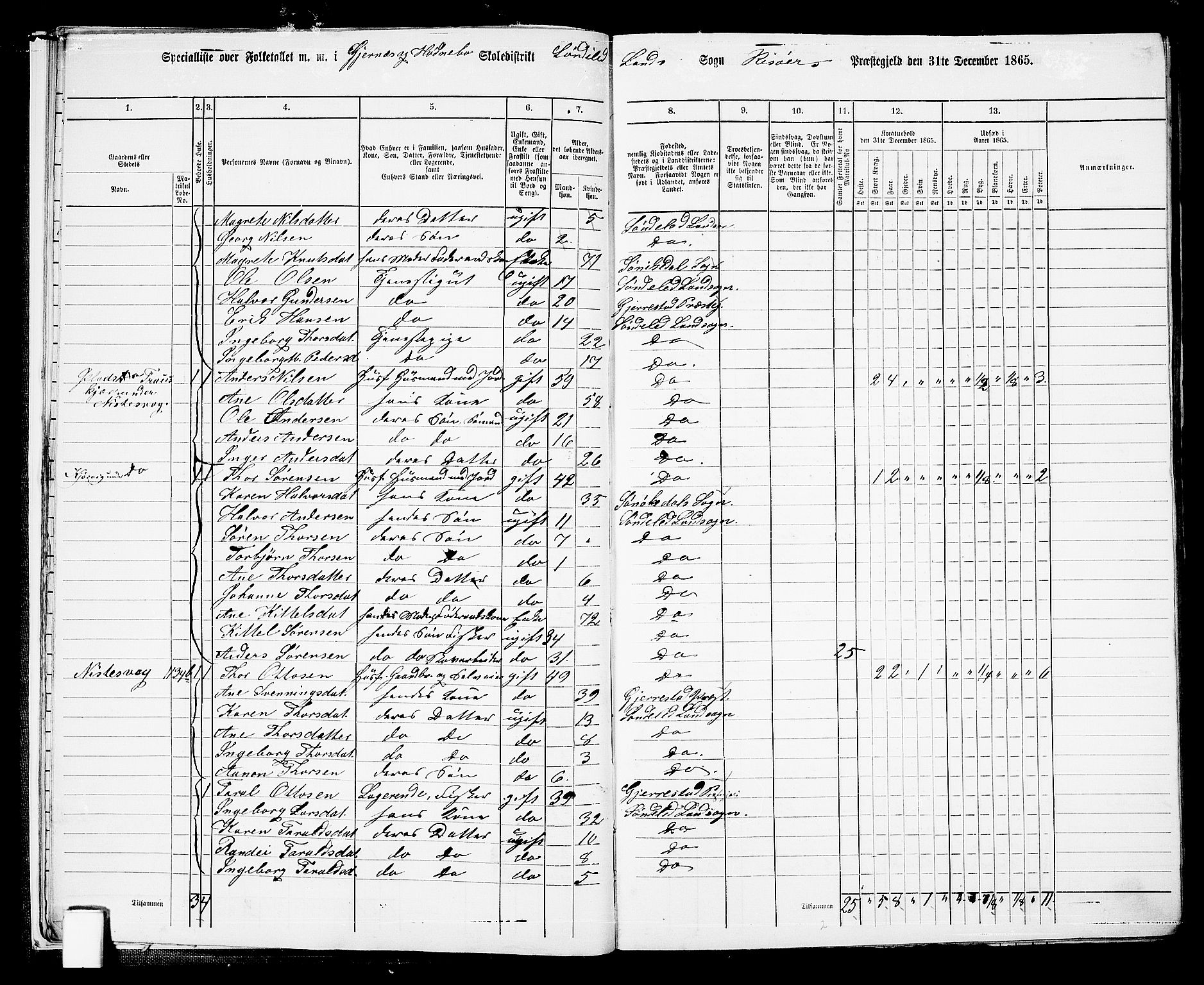 RA, 1865 census for Risør/Søndeled, 1865, p. 15