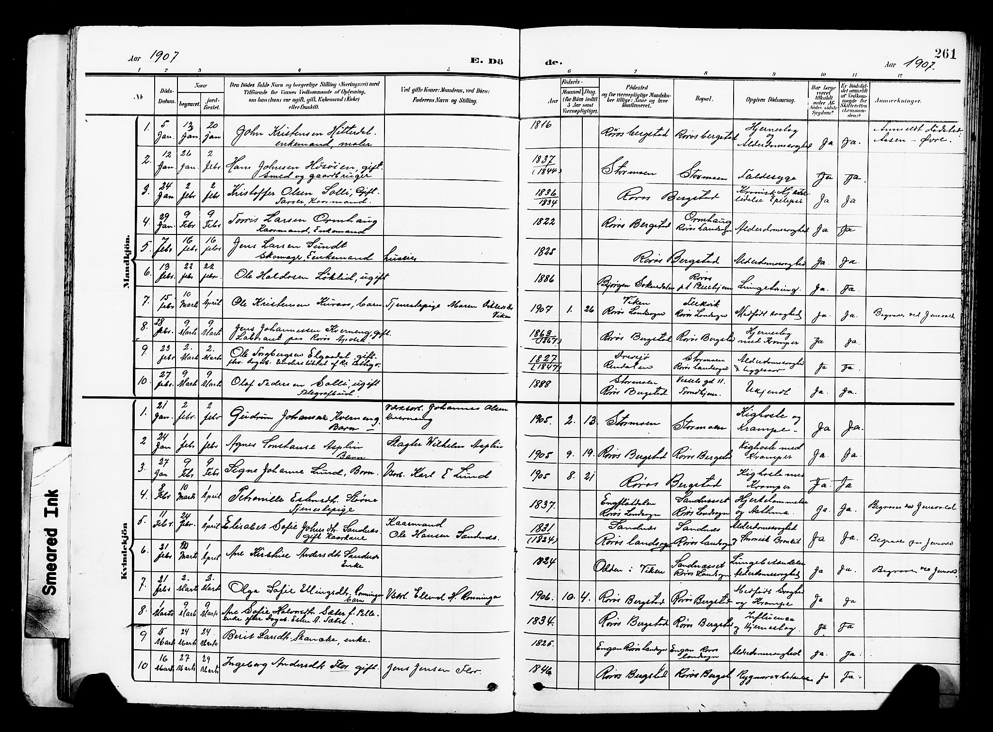 Ministerialprotokoller, klokkerbøker og fødselsregistre - Sør-Trøndelag, SAT/A-1456/681/L0942: Parish register (copy) no. 681C06, 1906-1925, p. 261