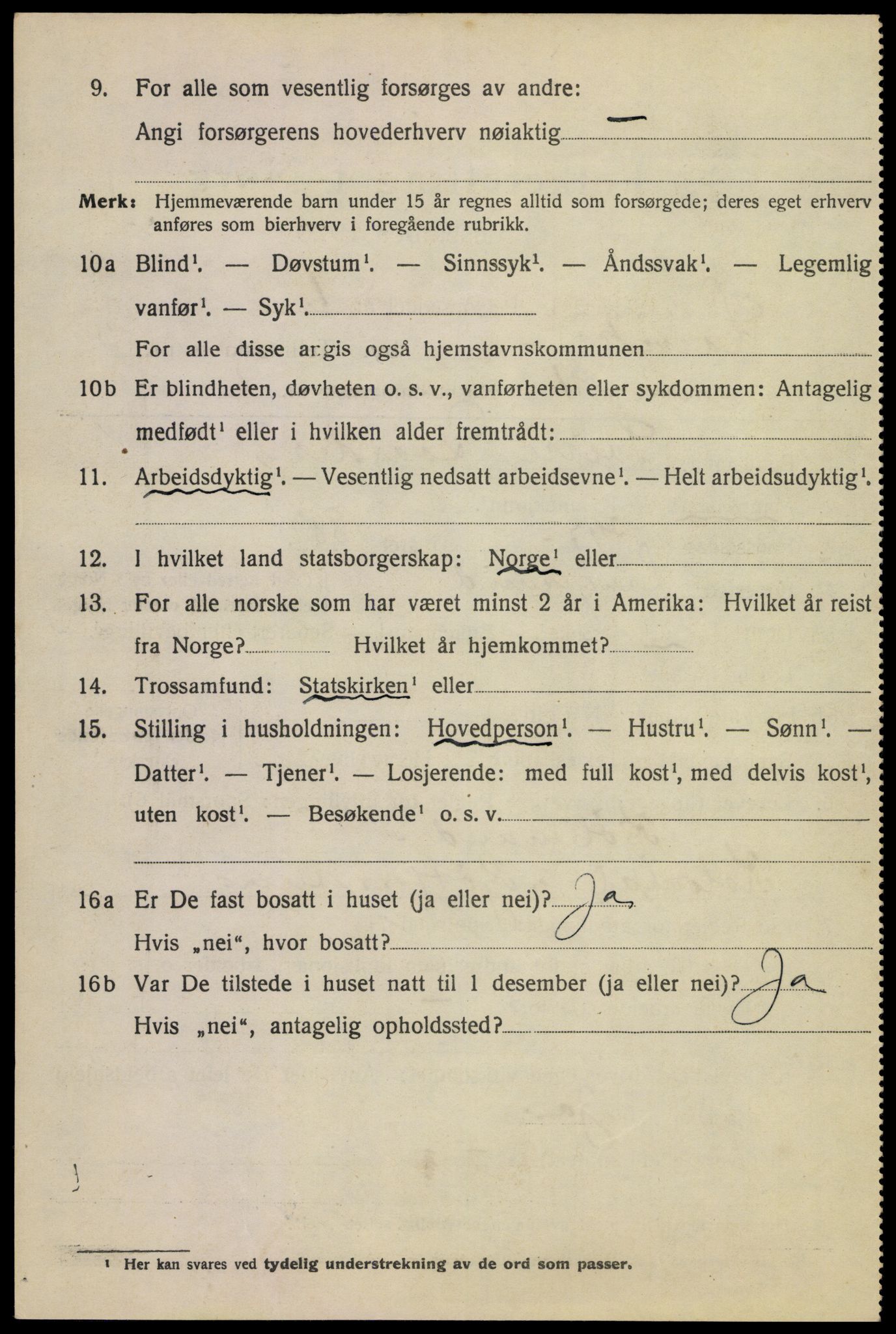 SAKO, 1920 census for Larvik, 1920, p. 17677