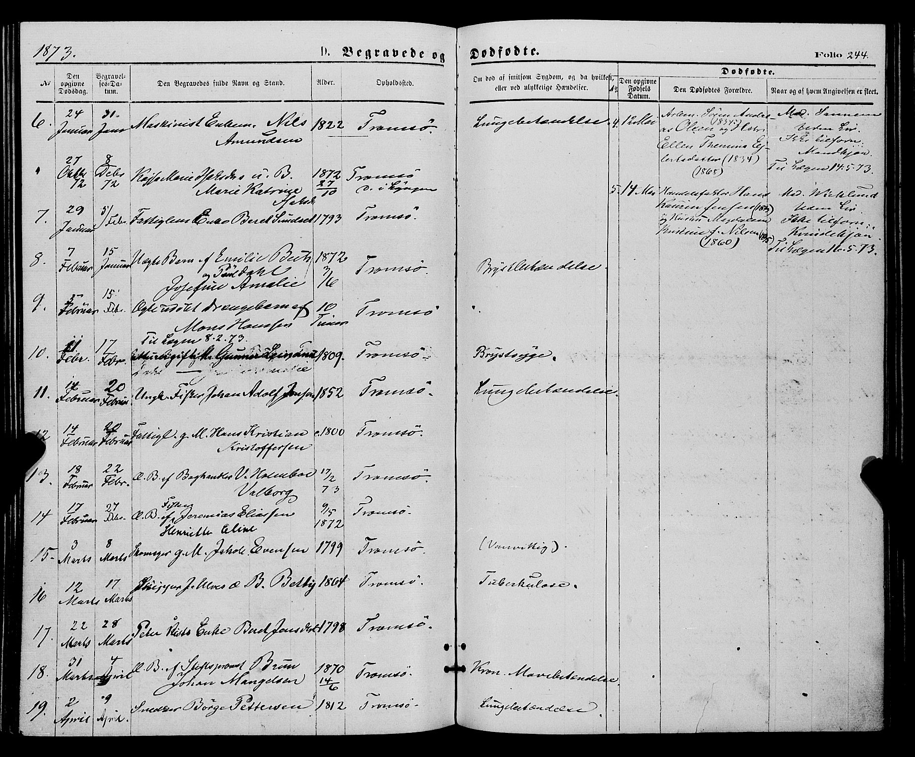 Tromsø sokneprestkontor/stiftsprosti/domprosti, SATØ/S-1343/G/Ga/L0013kirke: Parish register (official) no. 13, 1872-1877, p. 244