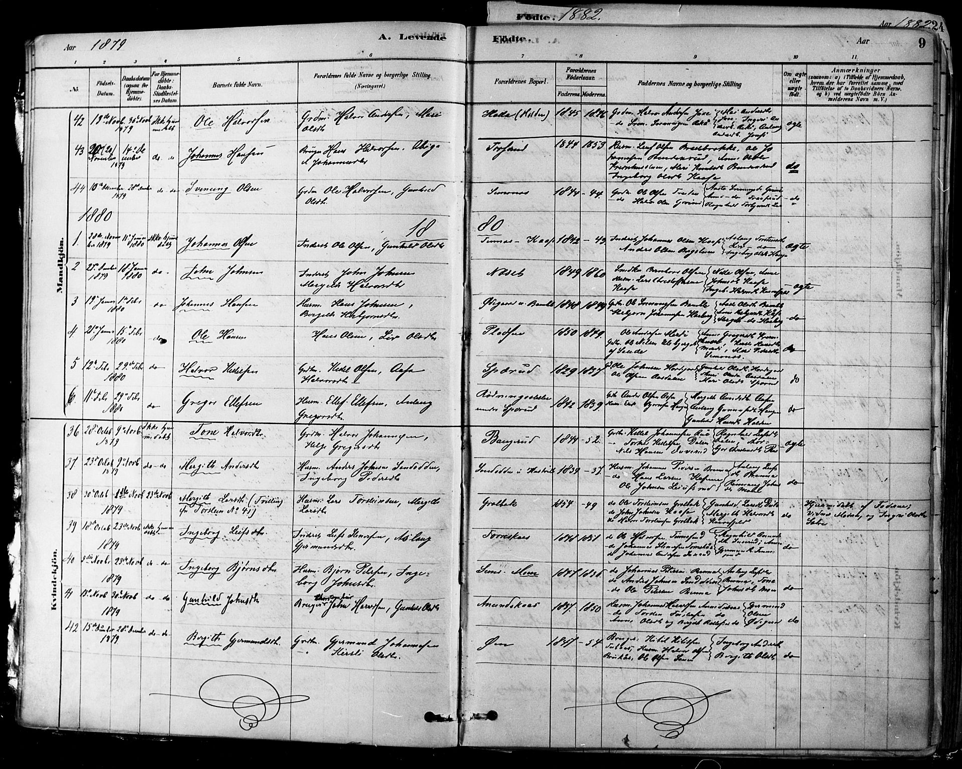 Heddal kirkebøker, AV/SAKO-A-268/F/Fa/L0008: Parish register (official) no. I 8, 1878-1903, p. 9