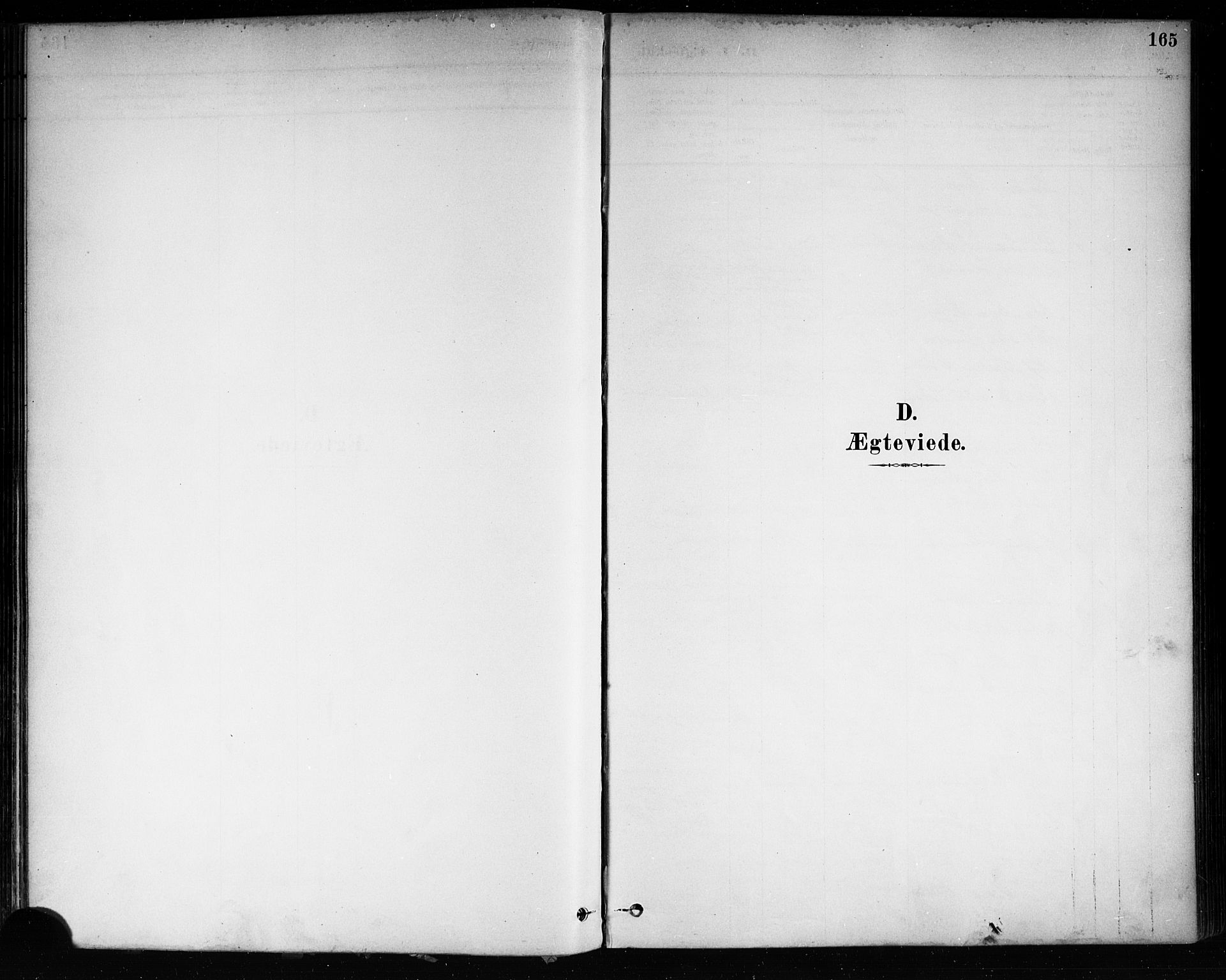 Brevik kirkebøker, SAKO/A-255/F/Fa/L0007: Parish register (official) no. 7, 1882-1900, p. 165