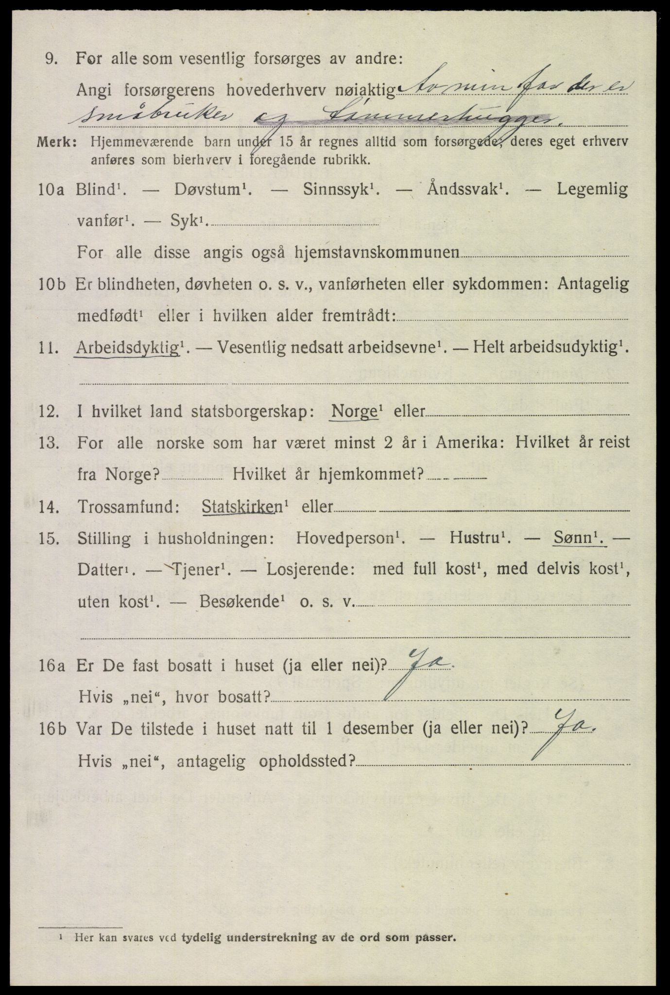 SAH, 1920 census for Trysil, 1920, p. 16102