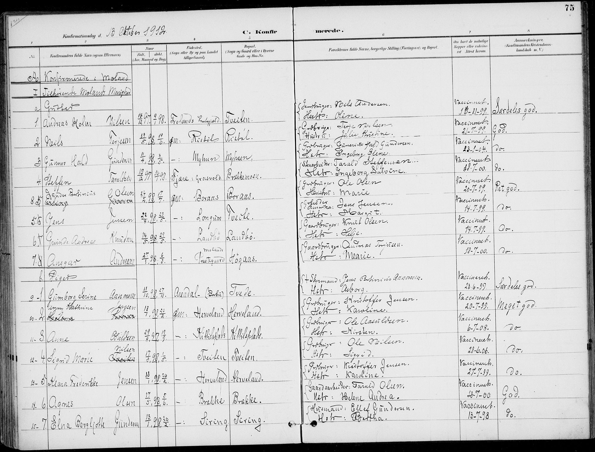 Austre Moland sokneprestkontor, SAK/1111-0001/F/Fa/Faa/L0011: Parish register (official) no. A 11, 1894-1915, p. 75