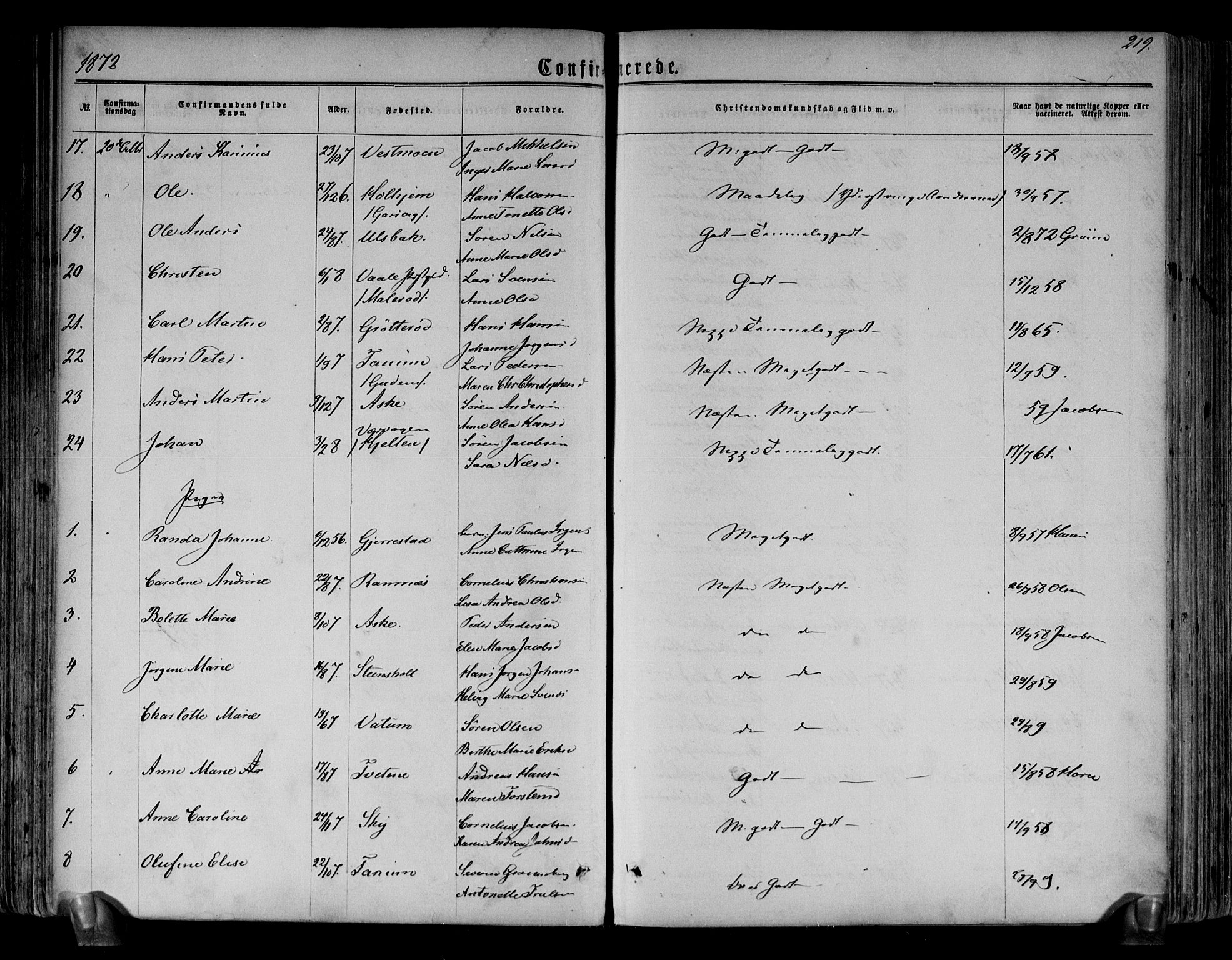 Brunlanes kirkebøker, AV/SAKO-A-342/F/Fa/L0005: Parish register (official) no. I 5, 1862-1877, p. 219