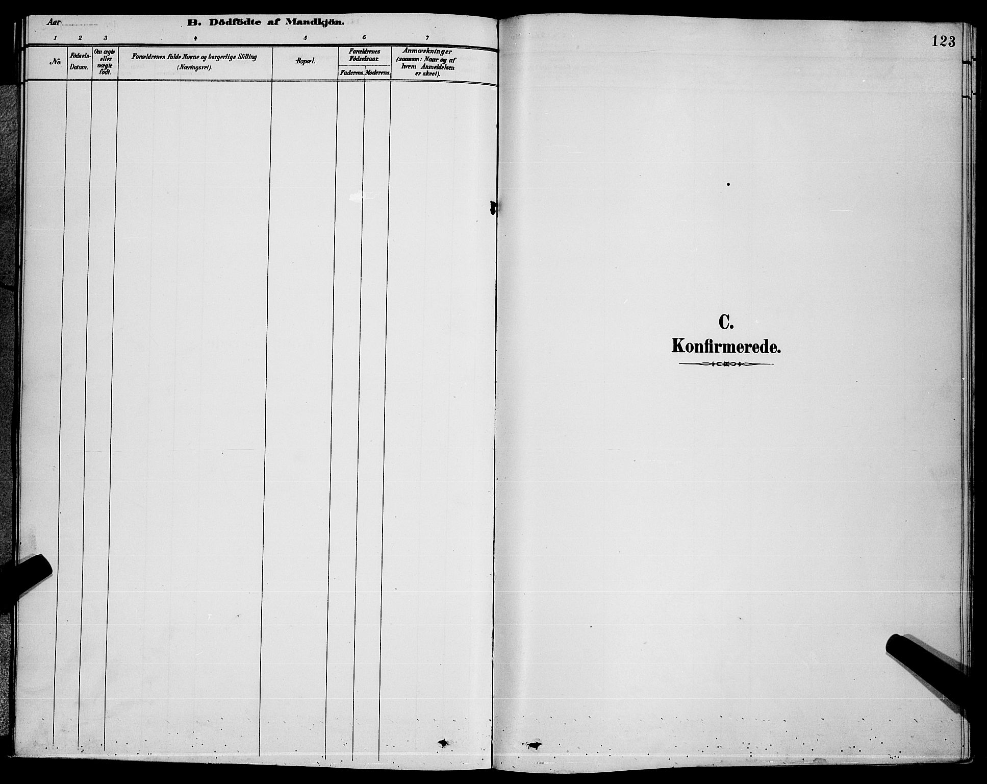 Ministerialprotokoller, klokkerbøker og fødselsregistre - Møre og Romsdal, AV/SAT-A-1454/578/L0909: Parish register (copy) no. 578C02, 1882-1900, p. 123