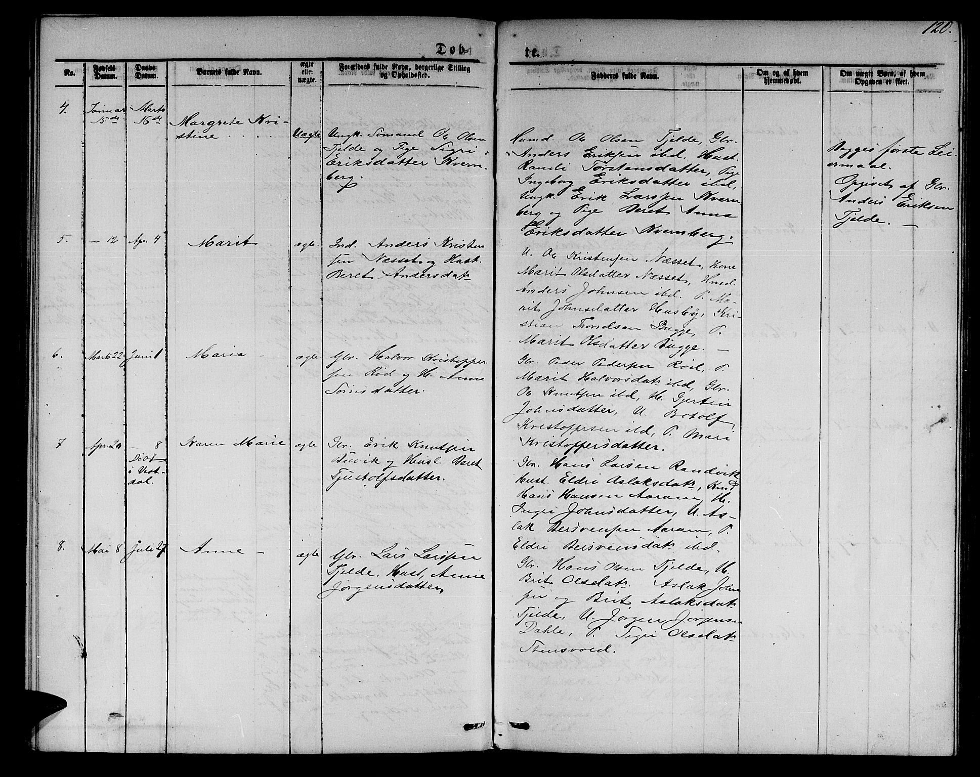 Ministerialprotokoller, klokkerbøker og fødselsregistre - Møre og Romsdal, AV/SAT-A-1454/551/L0630: Parish register (copy) no. 551C02, 1867-1885, p. 120