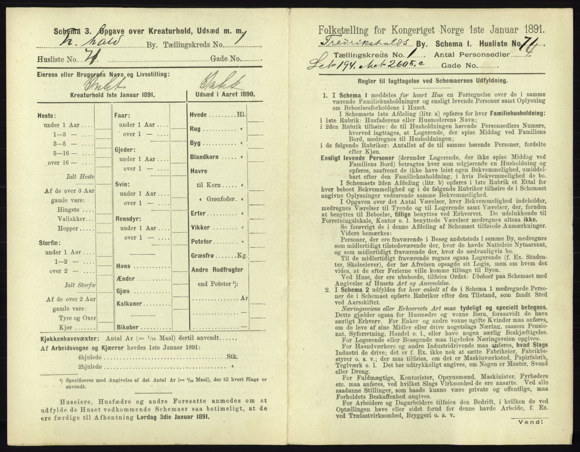 RA, 1891 census for 0101 Fredrikshald, 1891, p. 194