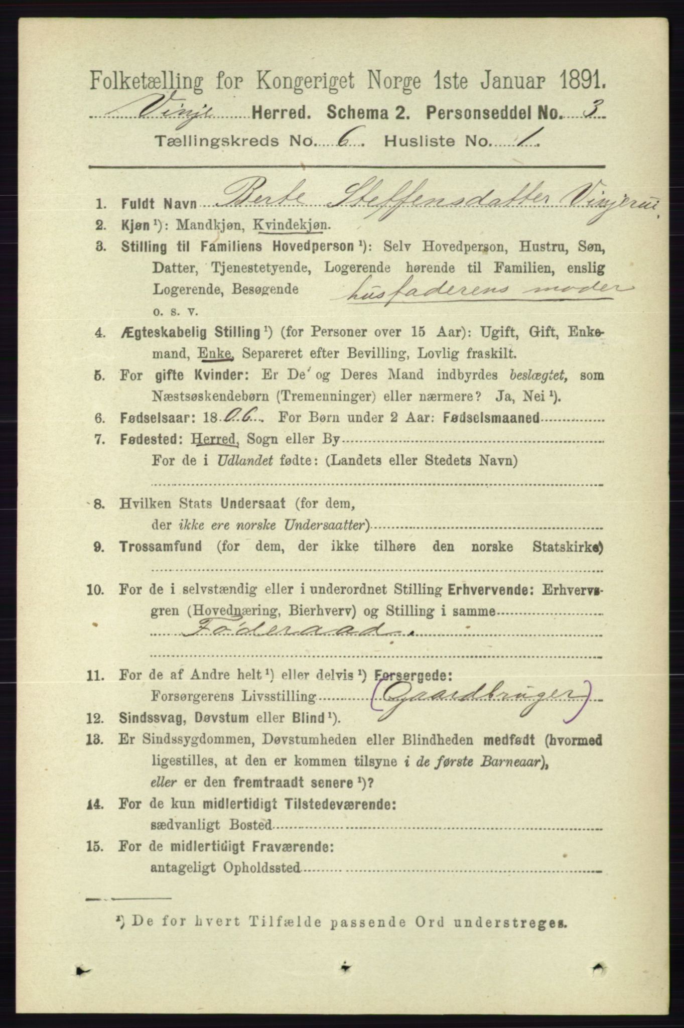 RA, 1891 census for 0834 Vinje, 1891, p. 1413