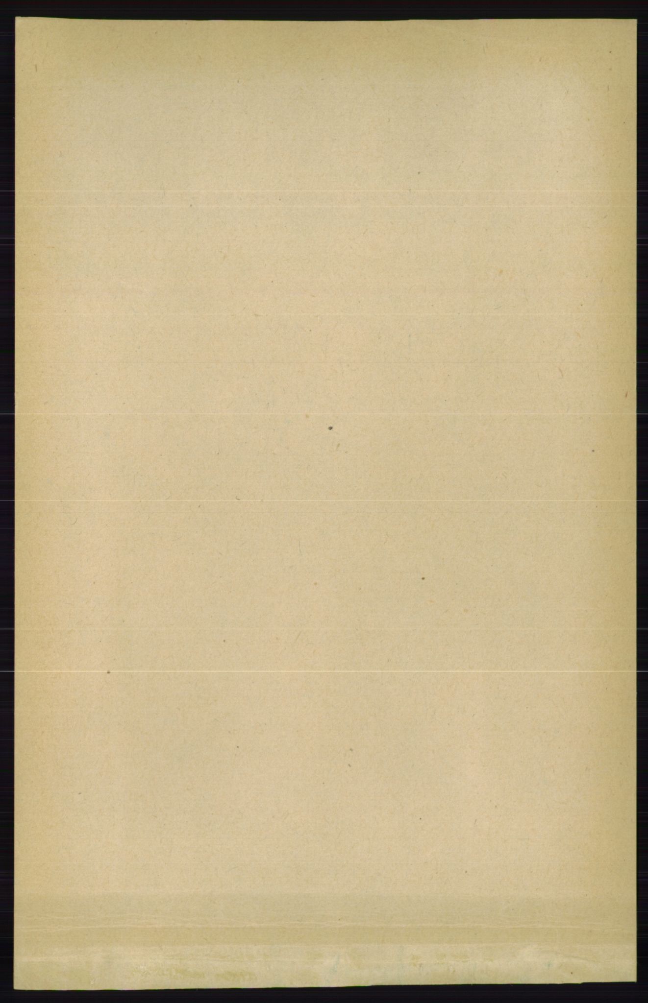 RA, 1891 census for 0834 Vinje, 1891, p. 1046