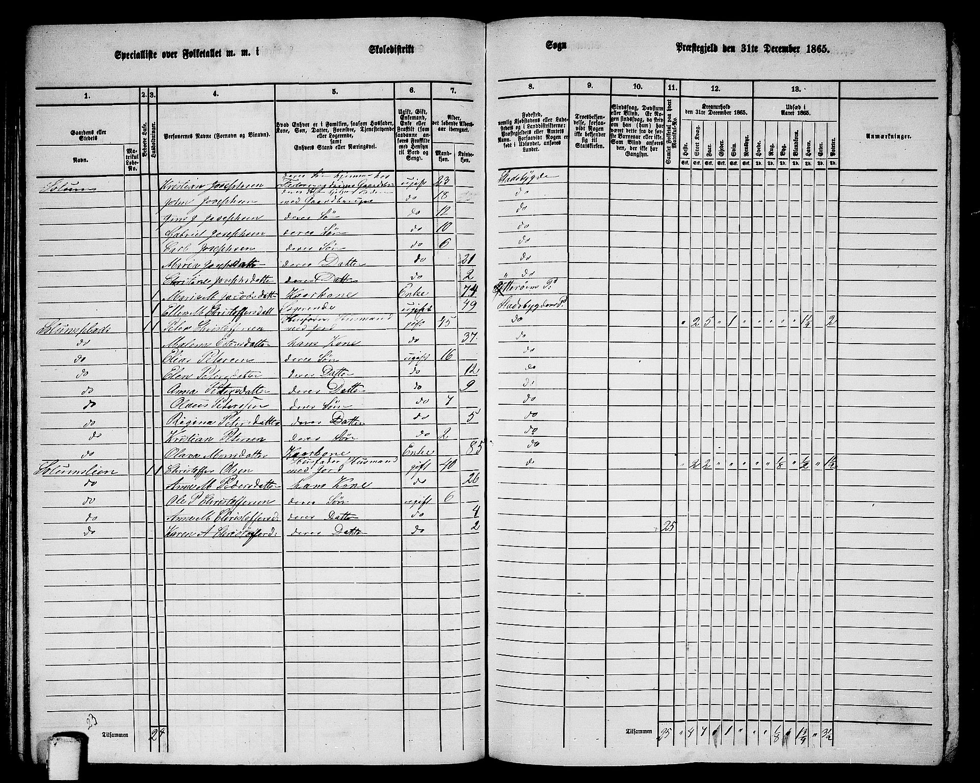 RA, 1865 census for Stadsbygd, 1865, p. 100