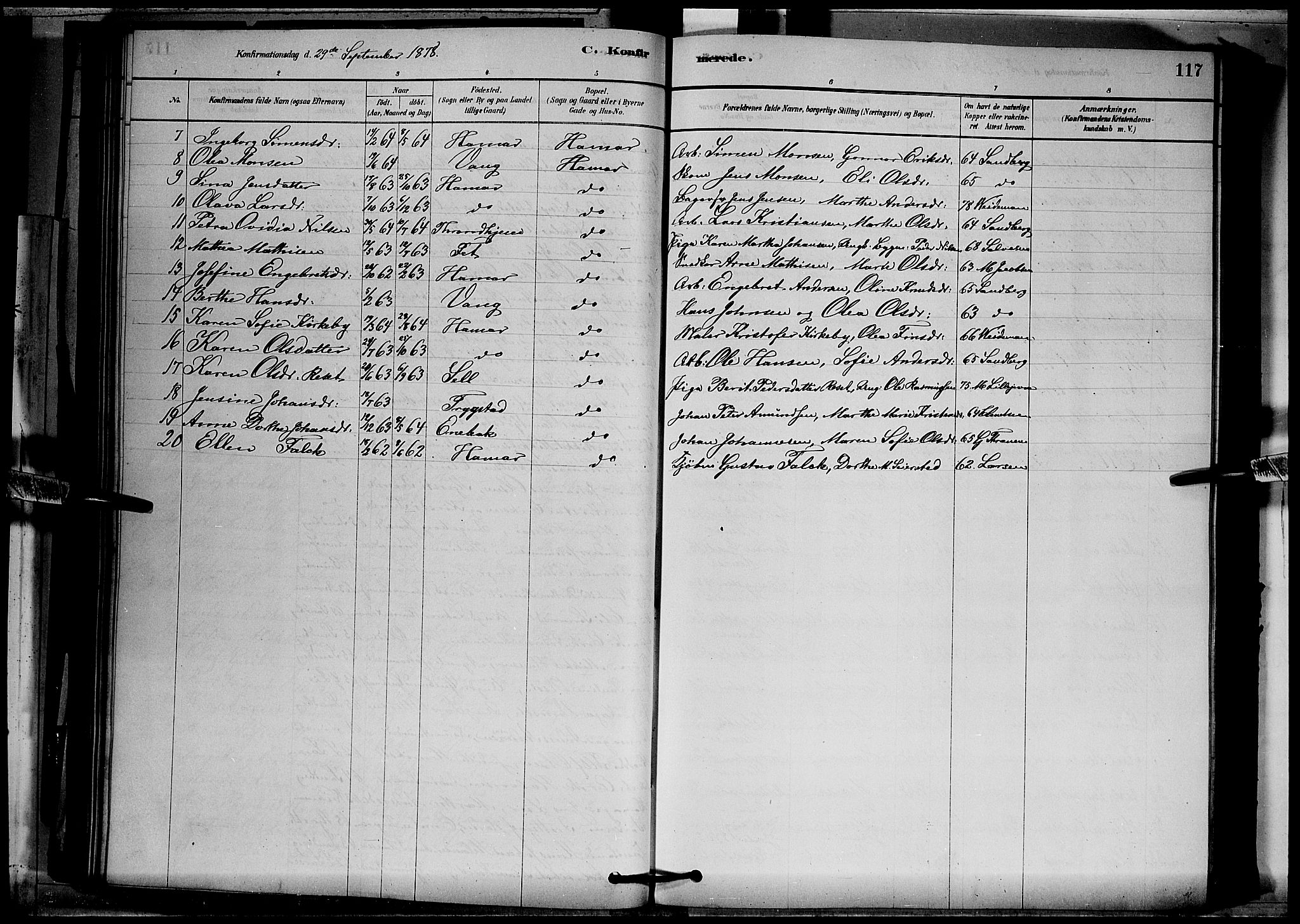 Vang prestekontor, Hedmark, SAH/PREST-008/H/Ha/Hab/L0012: Parish register (copy) no. 12, 1878-1889, p. 117