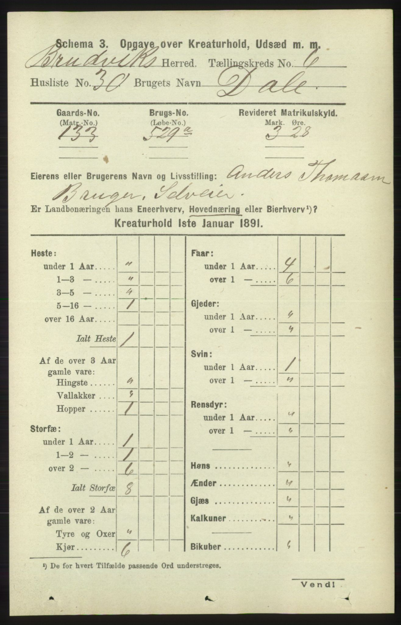 RA, 1891 census for 1251 Bruvik, 1891, p. 4616