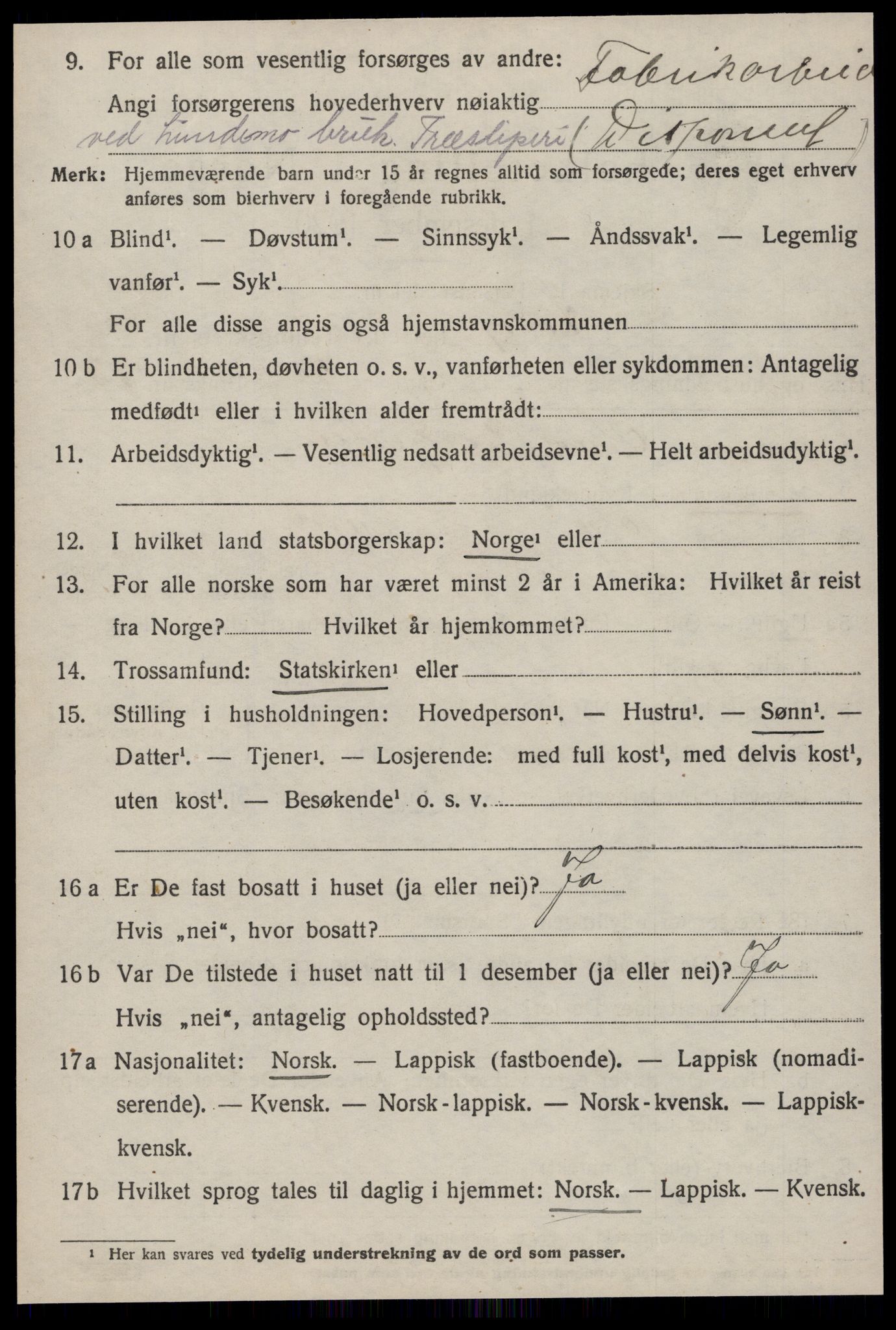 SAT, 1920 census for Horg, 1920, p. 1643