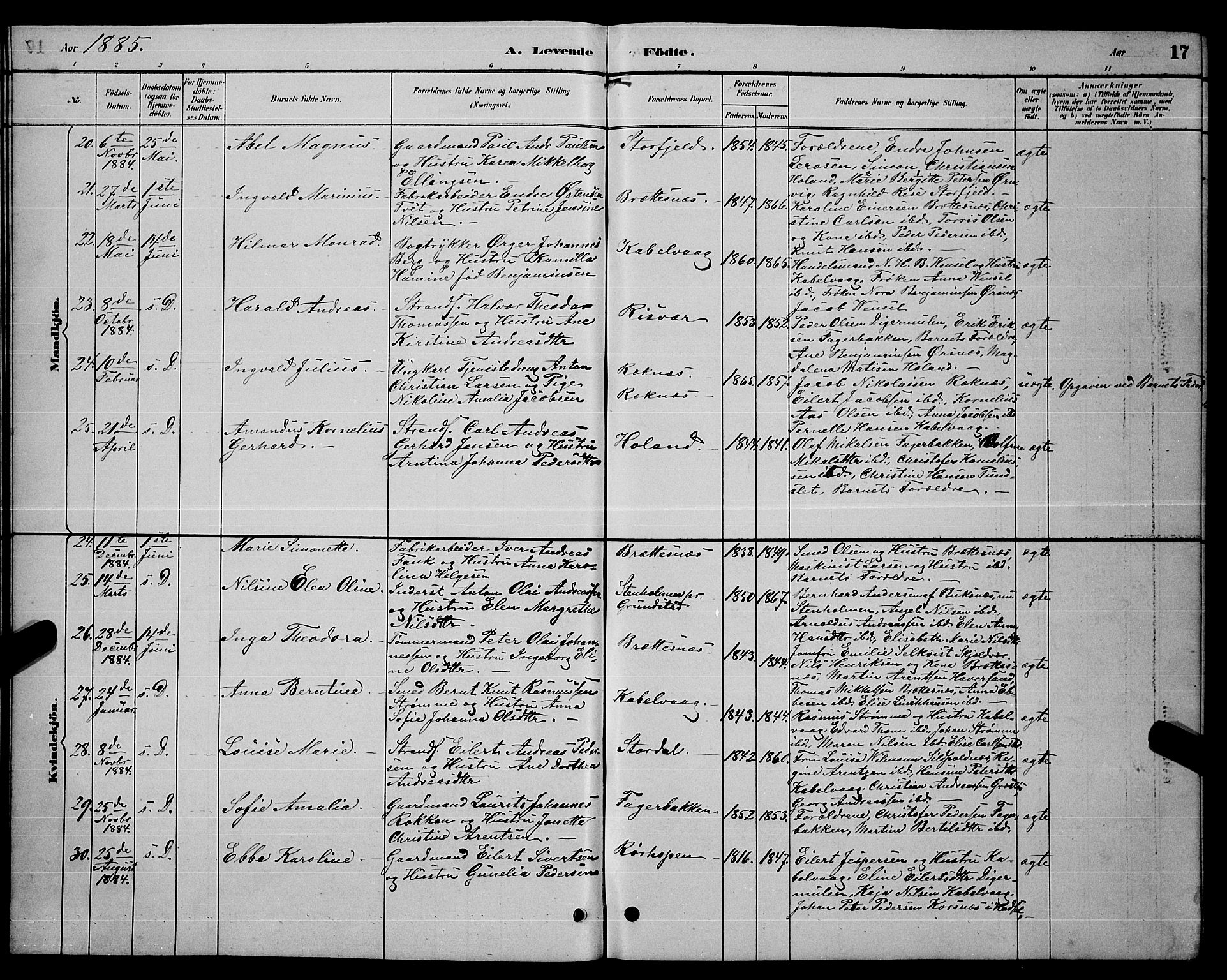 Ministerialprotokoller, klokkerbøker og fødselsregistre - Nordland, AV/SAT-A-1459/874/L1076: Parish register (copy) no. 874C05, 1884-1890, p. 17