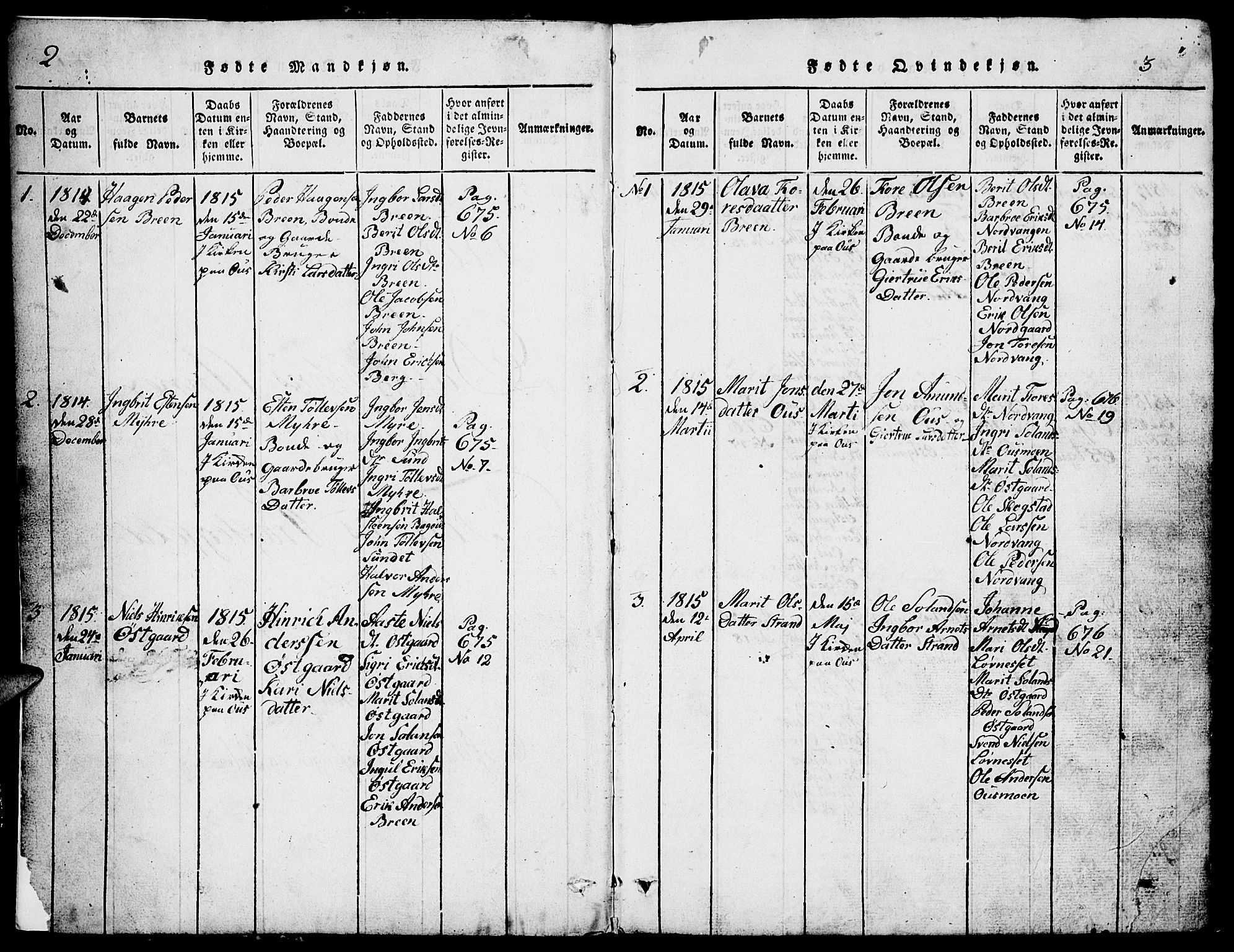 Tolga prestekontor, SAH/PREST-062/L/L0002: Parish register (copy) no. 2, 1815-1844, p. 2-3