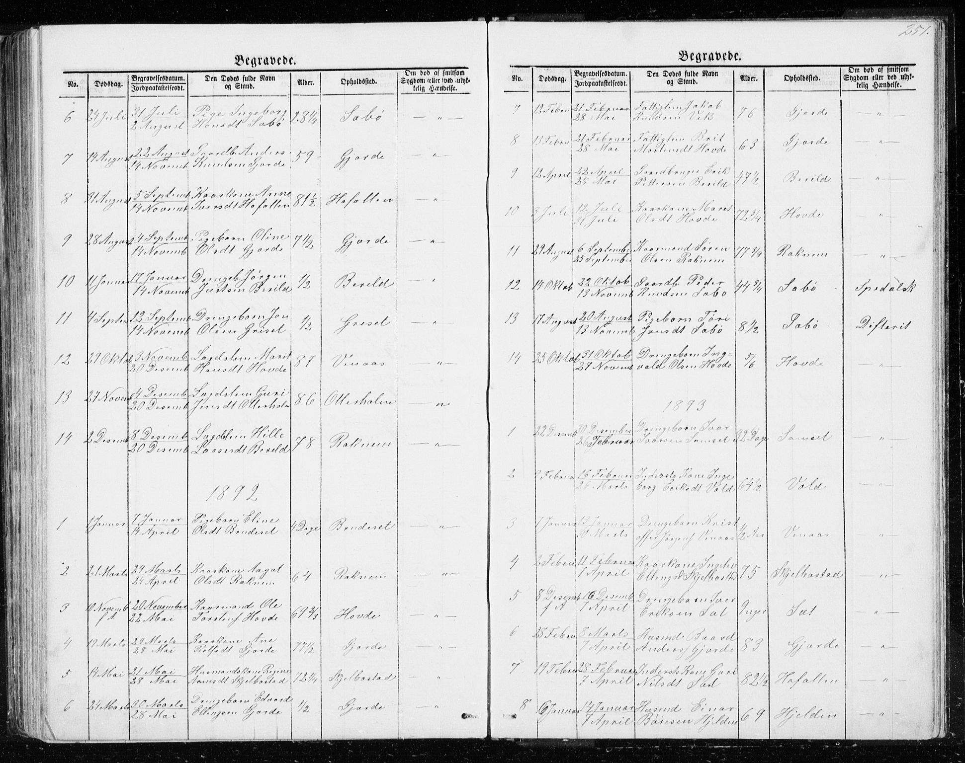 Ministerialprotokoller, klokkerbøker og fødselsregistre - Møre og Romsdal, SAT/A-1454/543/L0564: Parish register (copy) no. 543C02, 1867-1915, p. 251