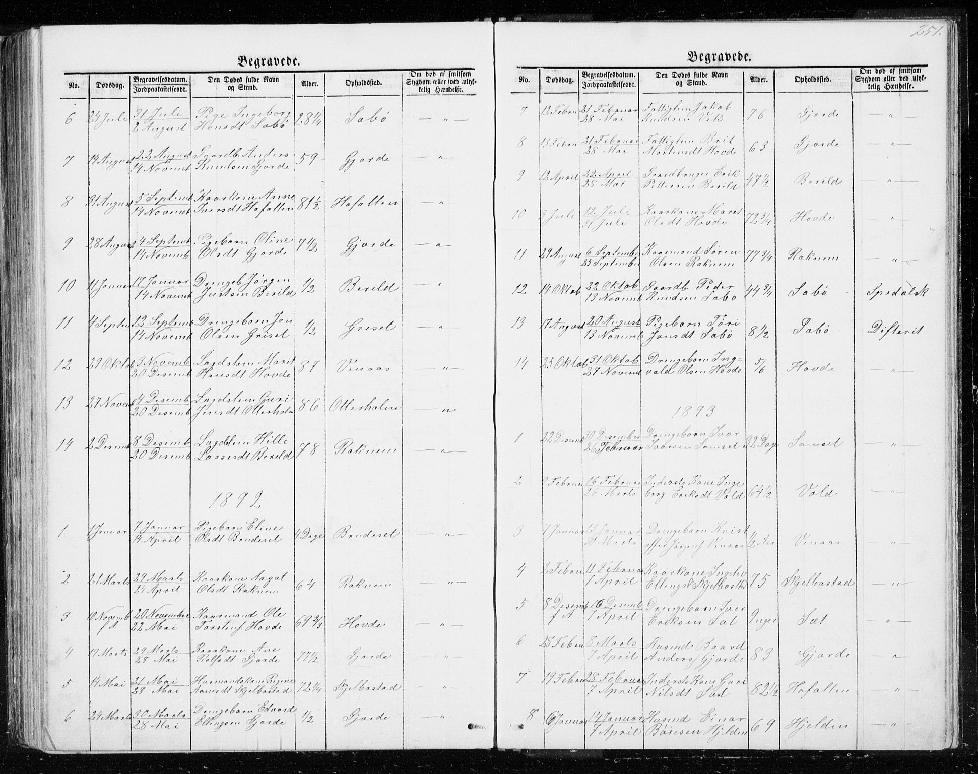 Ministerialprotokoller, klokkerbøker og fødselsregistre - Møre og Romsdal, AV/SAT-A-1454/543/L0564: Parish register (copy) no. 543C02, 1867-1915, p. 251