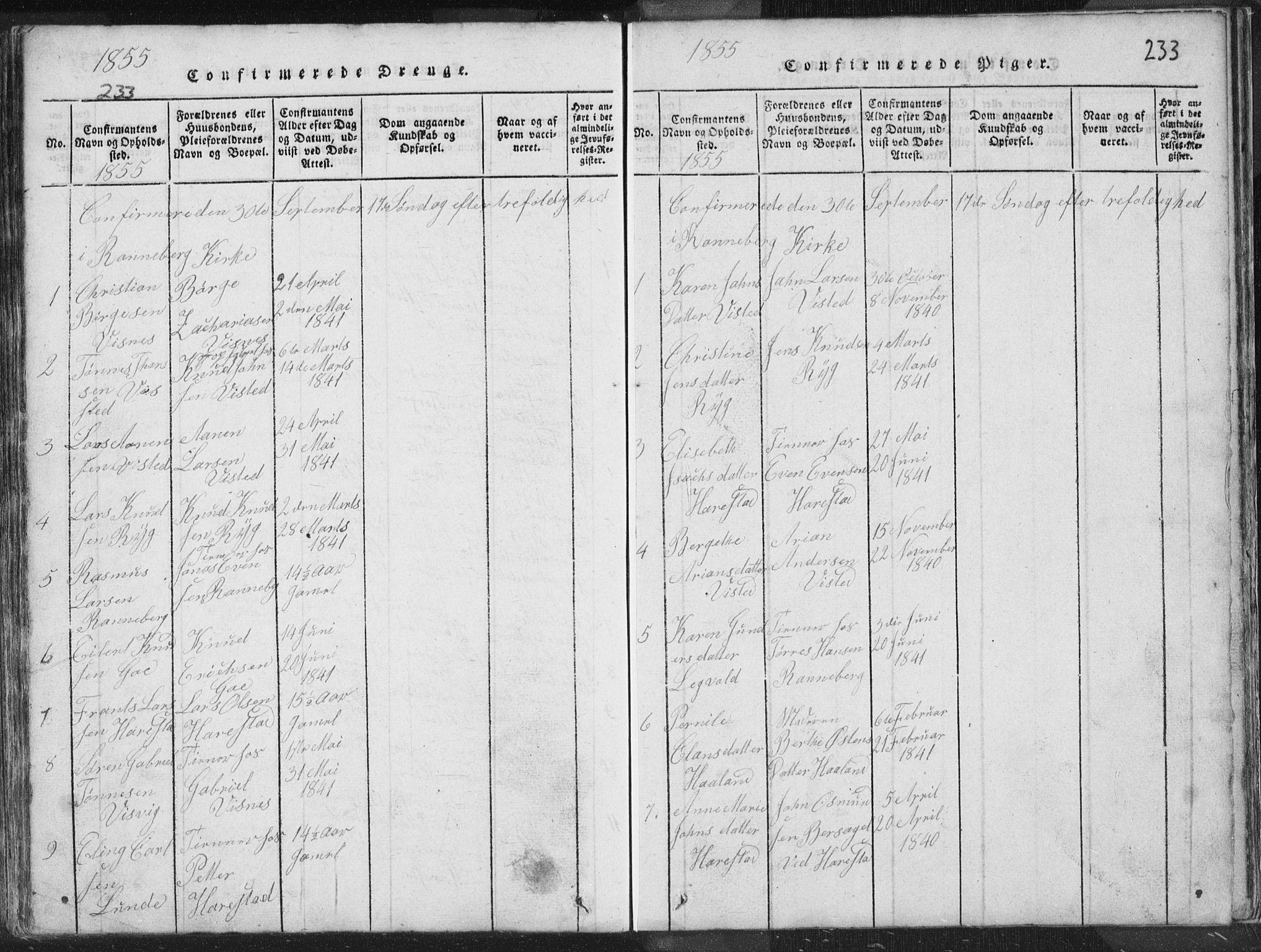 Hetland sokneprestkontor, SAST/A-101826/30/30BA/L0001: Parish register (official) no. A 1, 1816-1856, p. 233