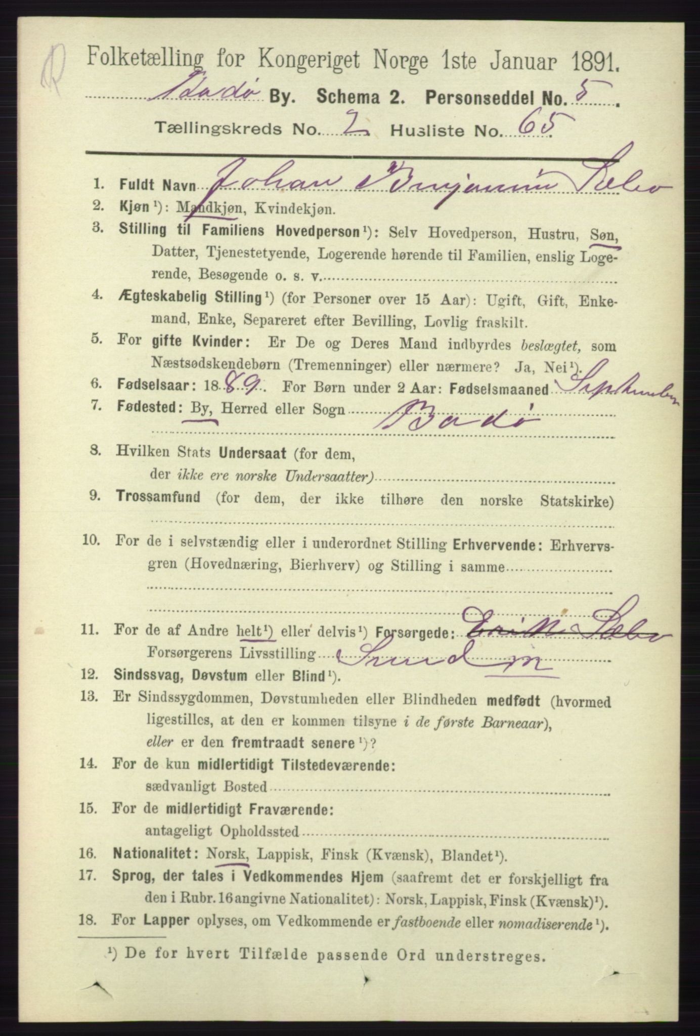 RA, 1891 census for 1804 Bodø, 1891, p. 1828
