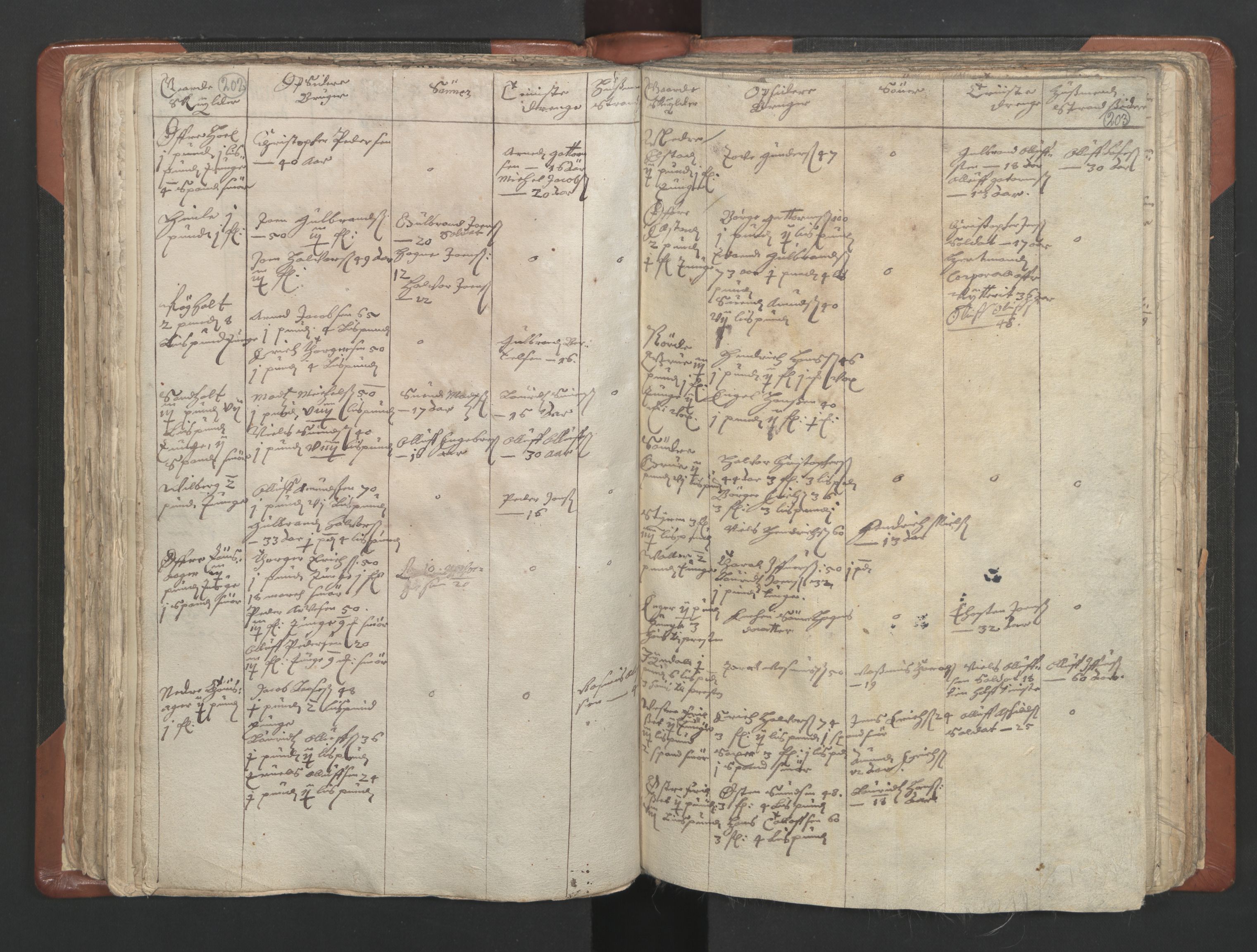 RA, Vicar's Census 1664-1666, no. 4: Øvre Romerike deanery, 1664-1666, p. 202-203