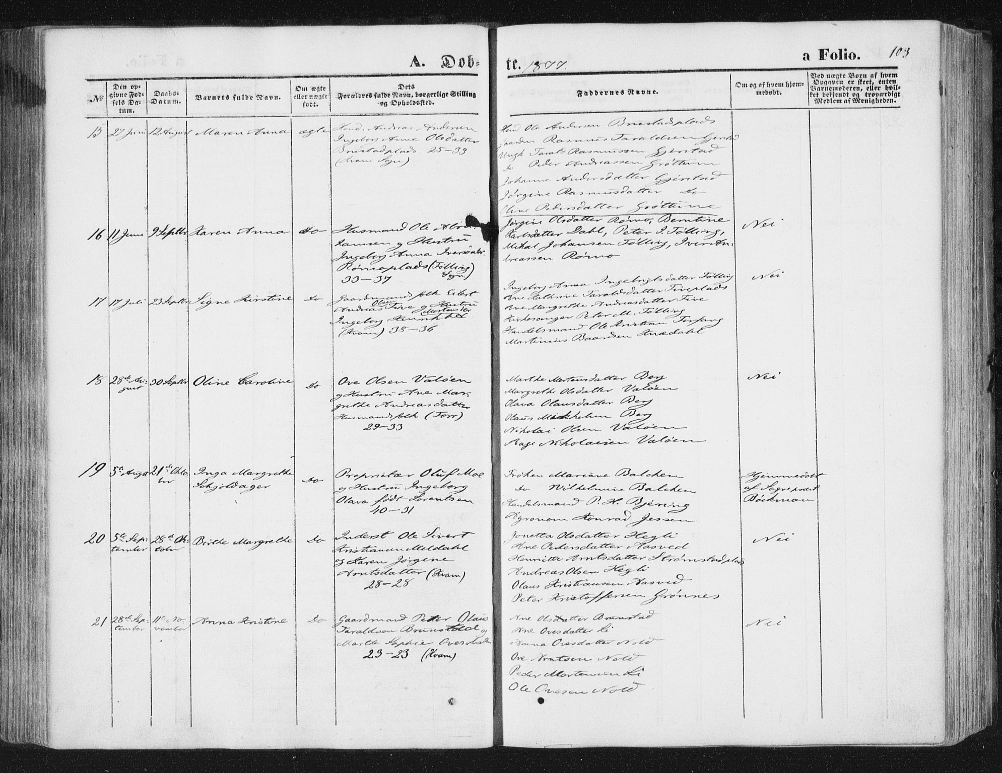 Ministerialprotokoller, klokkerbøker og fødselsregistre - Nord-Trøndelag, AV/SAT-A-1458/746/L0447: Parish register (official) no. 746A06, 1860-1877, p. 103