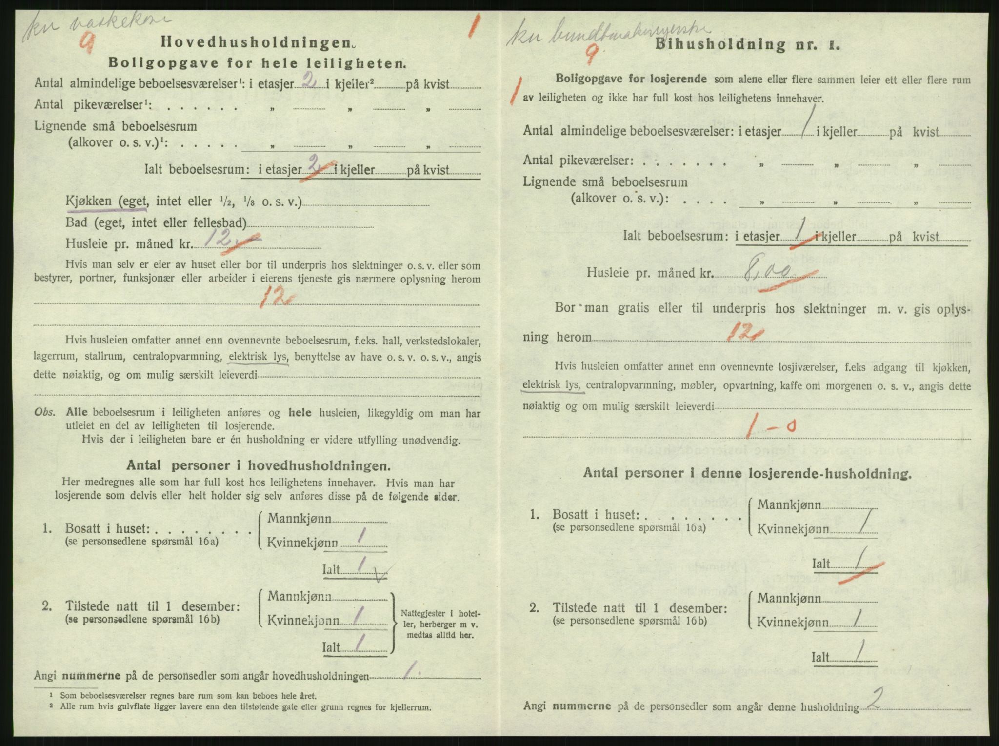 SAT, 1920 census for Steinkjer, 1920, p. 2213