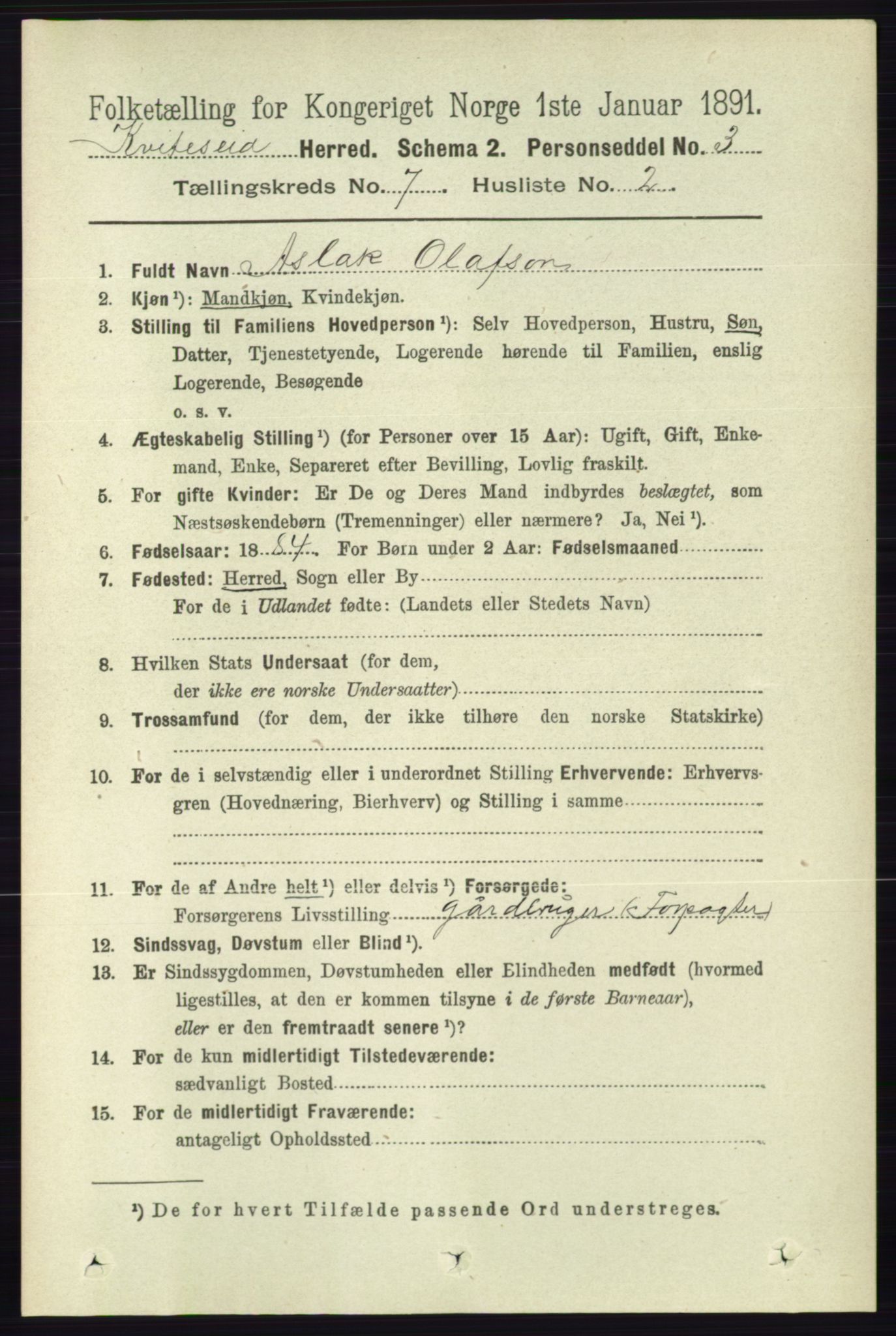 RA, 1891 census for 0829 Kviteseid, 1891, p. 1374