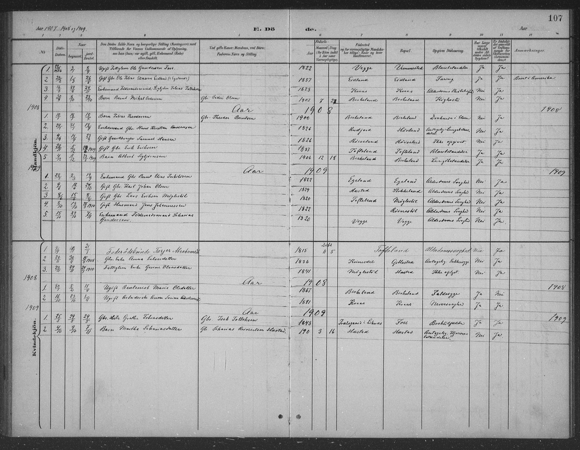 Lyngdal sokneprestkontor, SAK/1111-0029/F/Fb/Fbb/L0002: Parish register (copy) no. B 2, 1901-1934, p. 107
