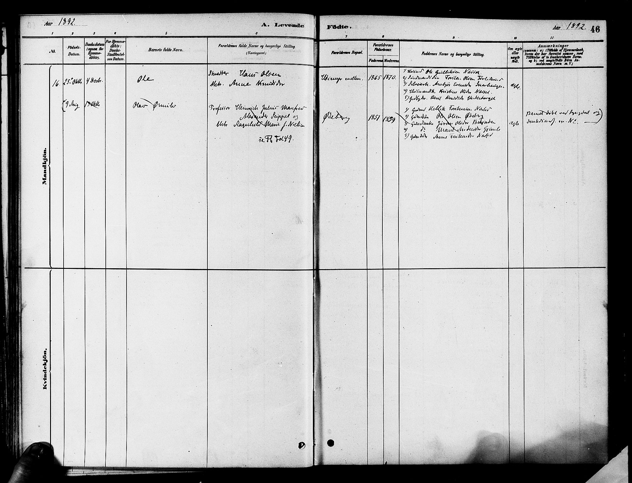 Flesberg kirkebøker, AV/SAKO-A-18/F/Fa/L0008: Parish register (official) no. I 8, 1879-1899, p. 46