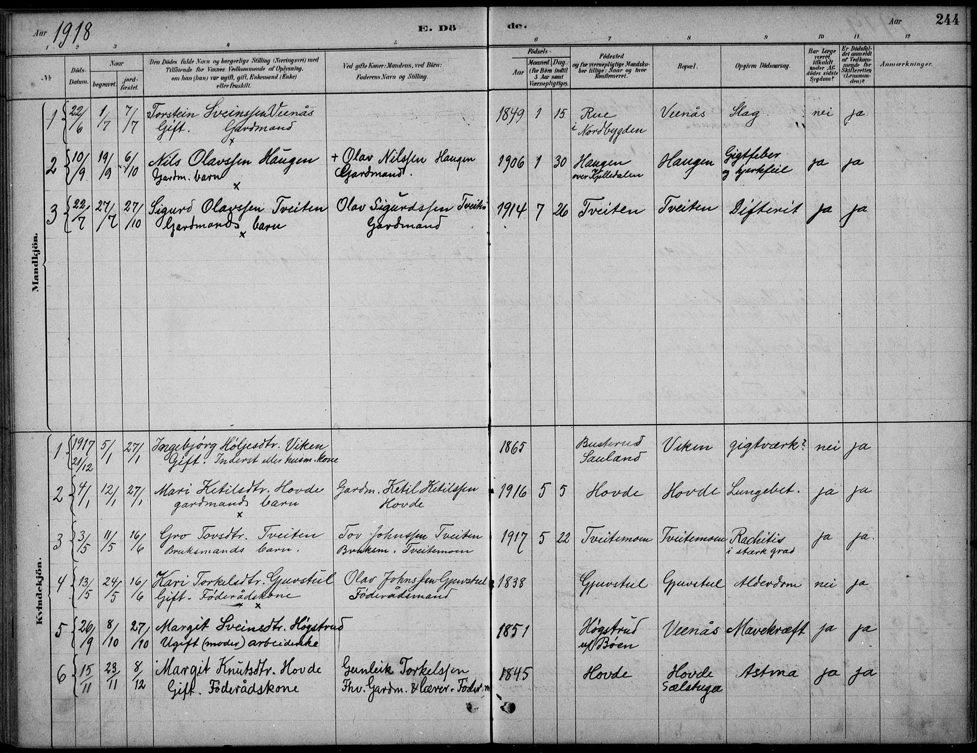 Hjartdal kirkebøker, SAKO/A-270/F/Fc/L0002: Parish register (official) no. III 2, 1880-1936, p. 244