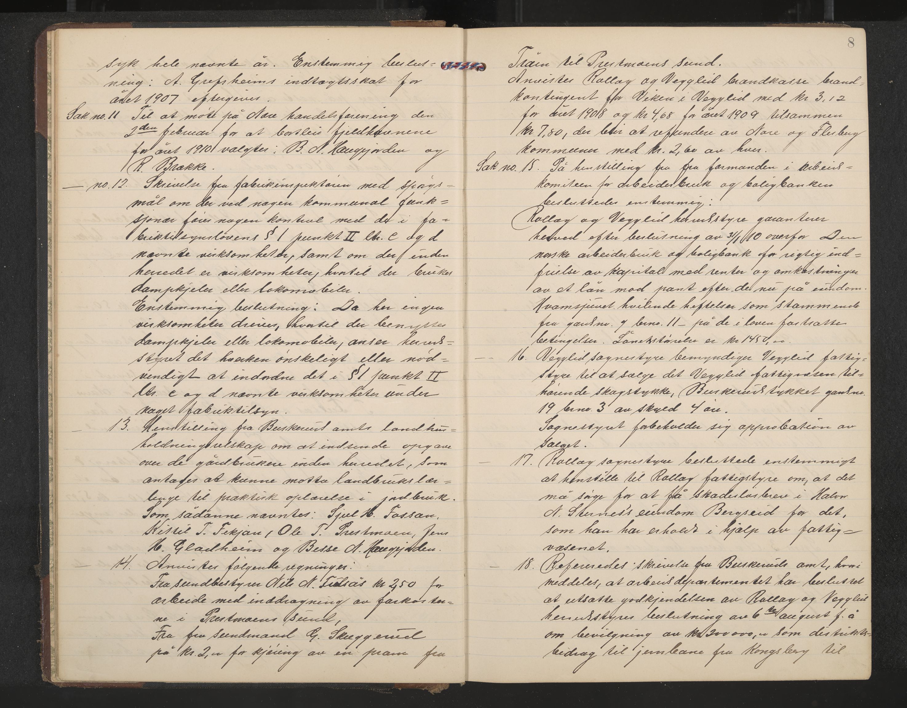 Rollag formannskap og sentraladministrasjon, IKAK/0632021-2/A/Aa/L0005: Møtebok, 1909-1915, p. 8