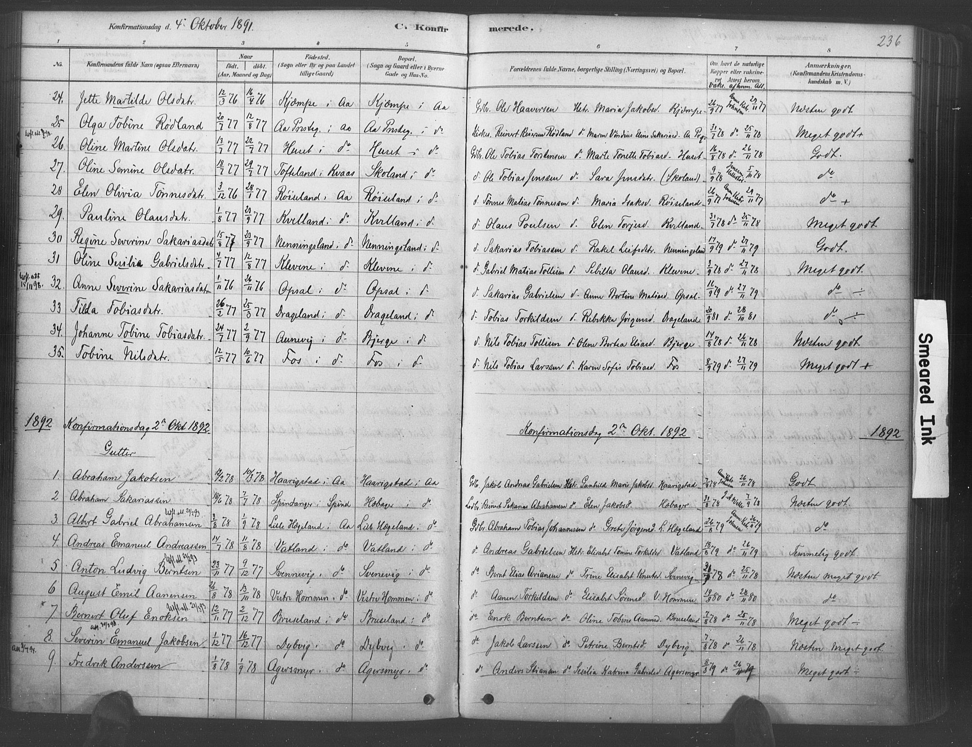 Lyngdal sokneprestkontor, AV/SAK-1111-0029/F/Fa/Fac/L0011: Parish register (official) no. A 11, 1878-1893, p. 236