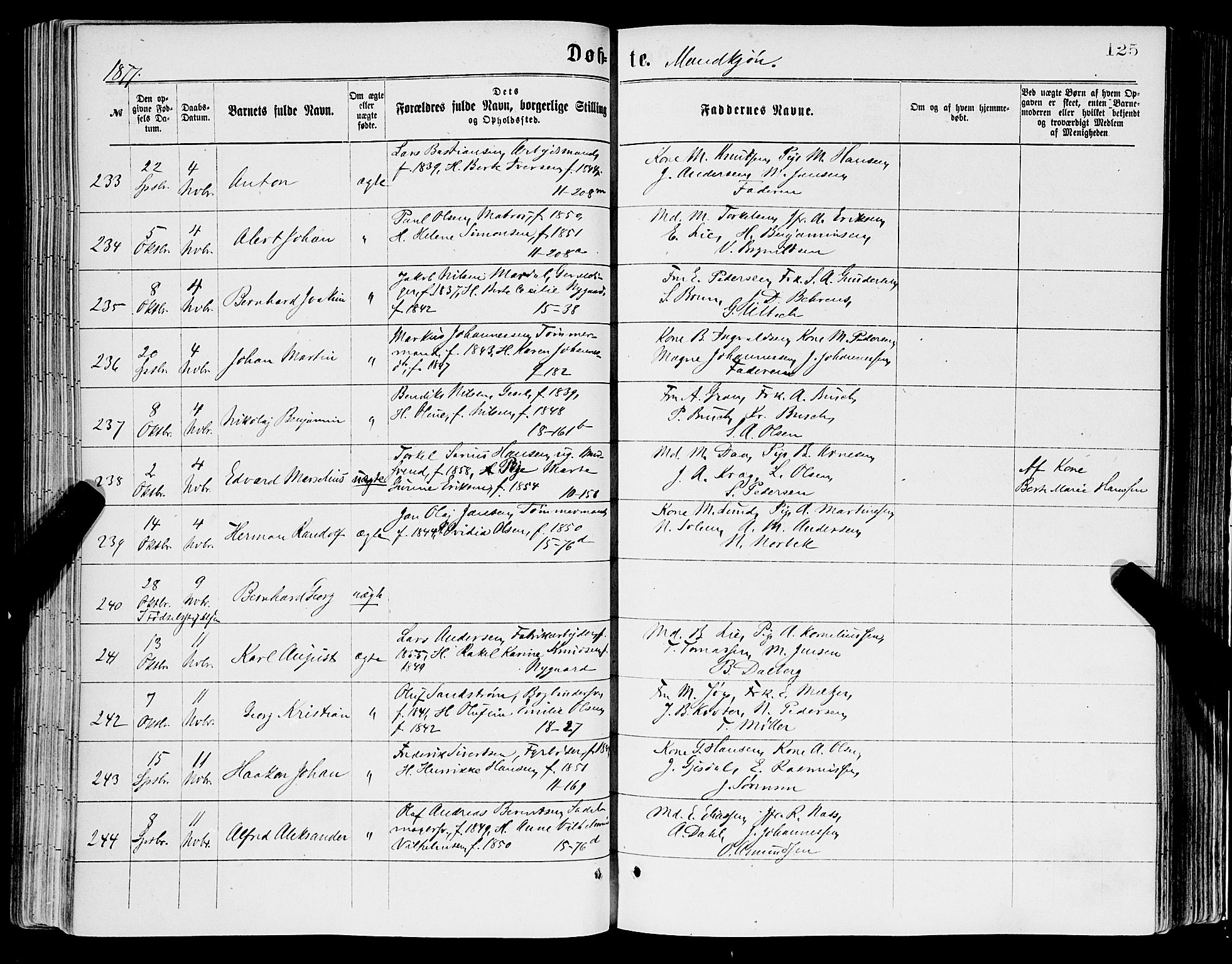 Domkirken sokneprestembete, AV/SAB-A-74801/H/Haa/L0022: Parish register (official) no. B 5, 1872-1878, p. 125