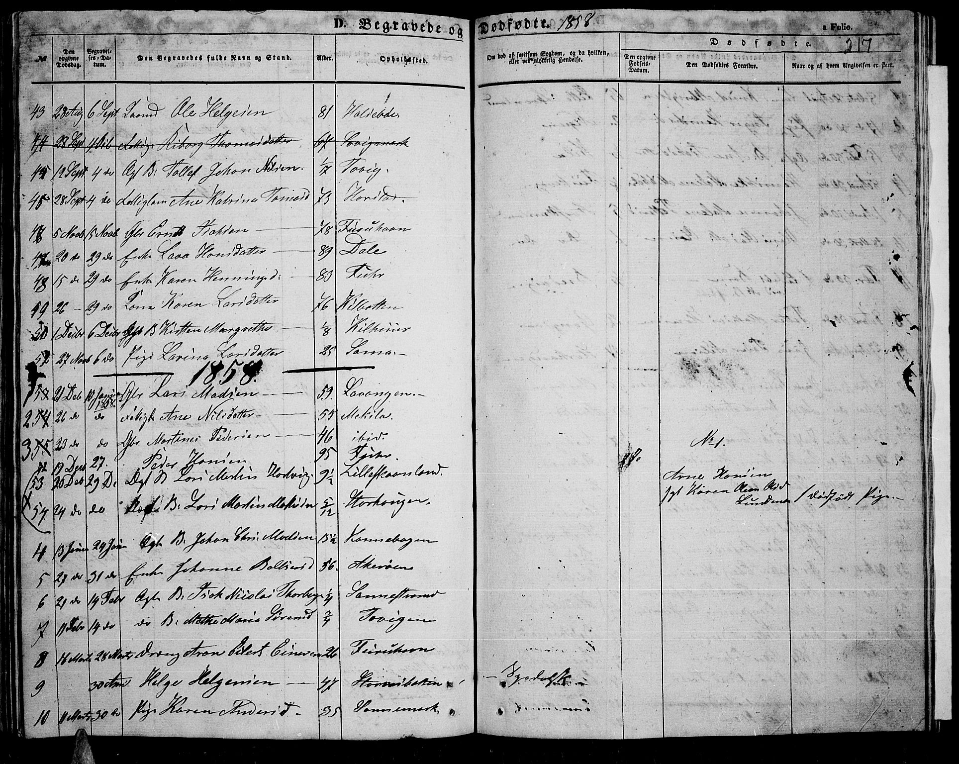 Trondenes sokneprestkontor, SATØ/S-1319/H/Hb/L0007klokker: Parish register (copy) no. 7, 1855-1862, p. 217