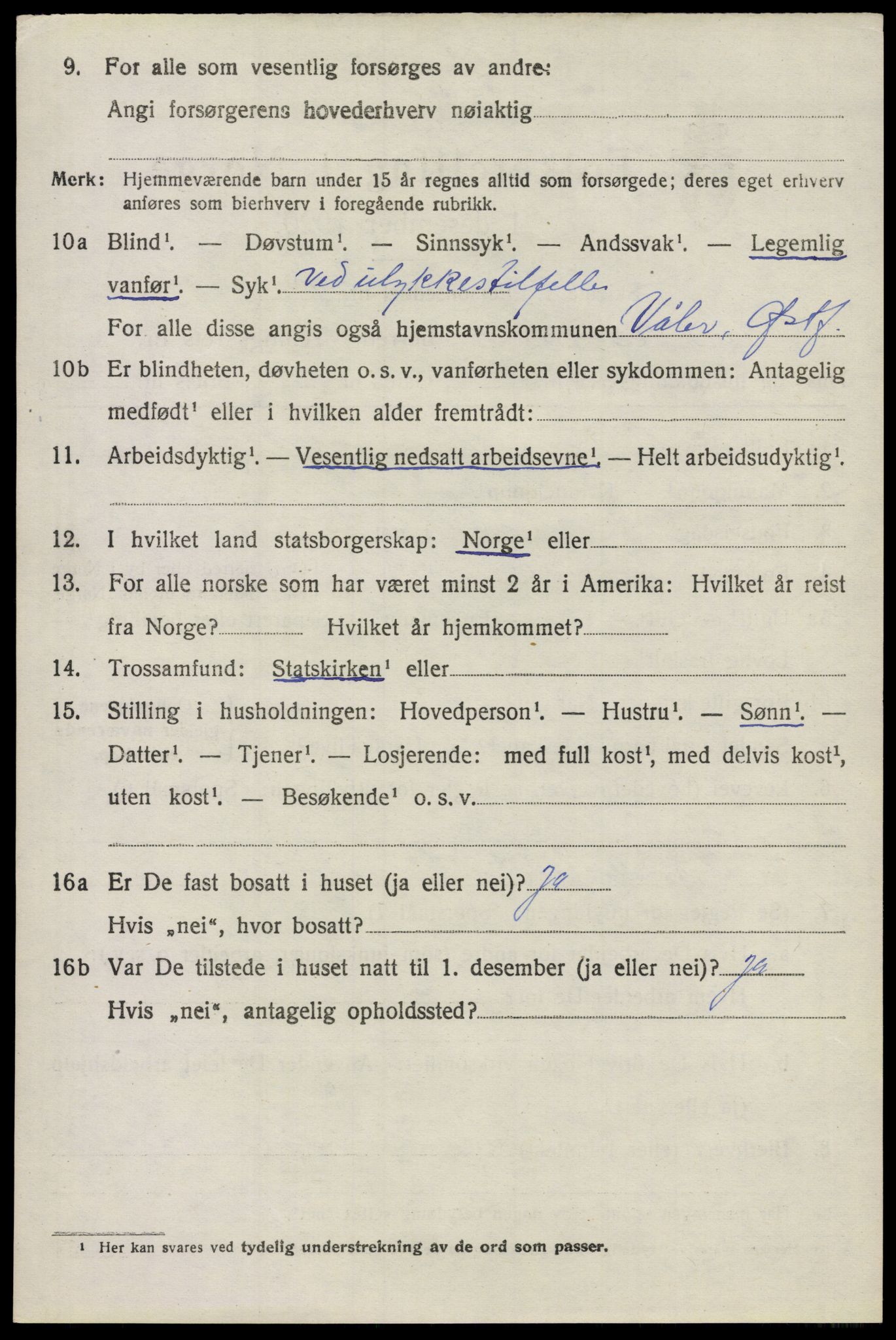 SAO, 1920 census for Våler, 1920, p. 3033