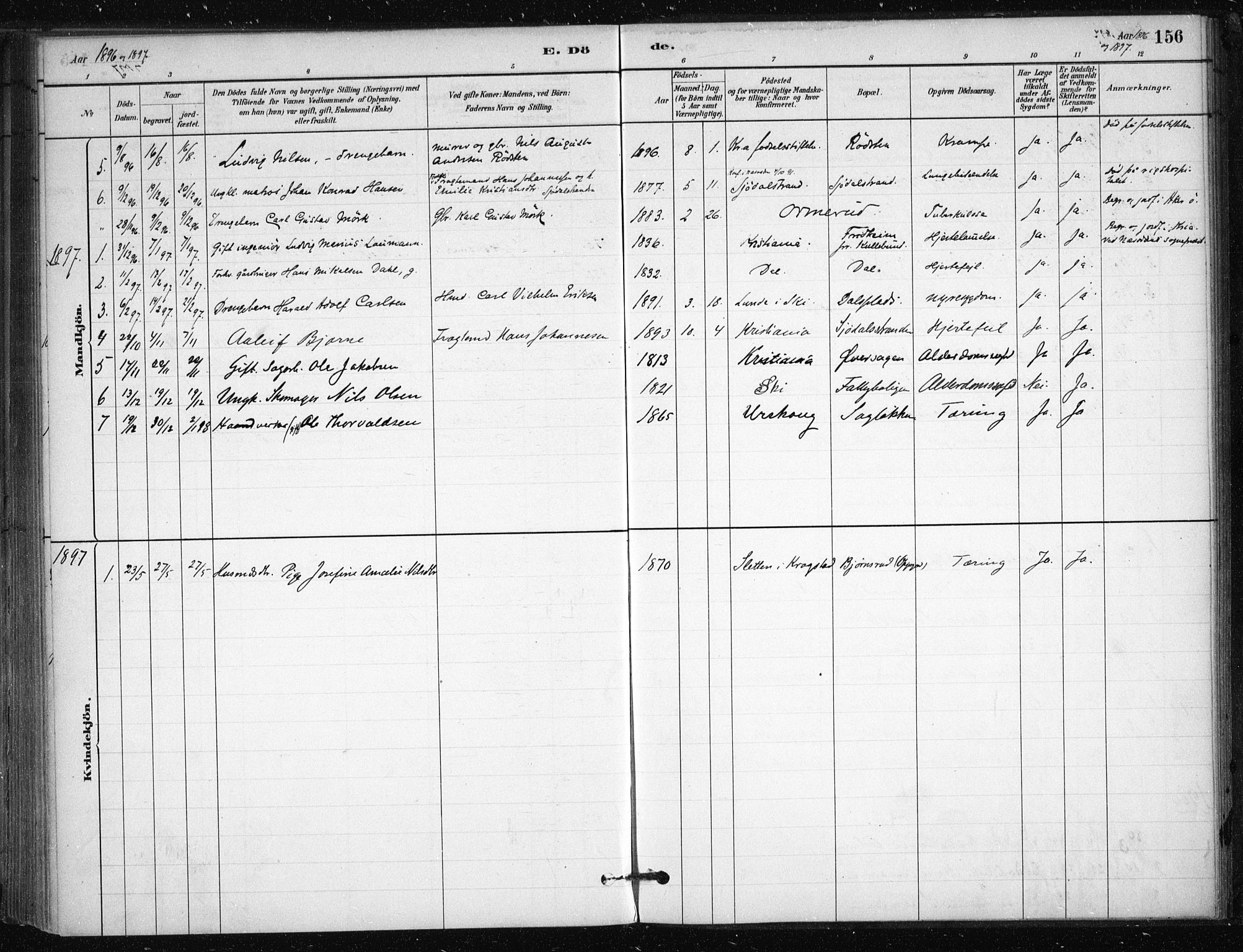 Nesodden prestekontor Kirkebøker, SAO/A-10013/F/Fb/L0001: Parish register (official) no. II 1, 1880-1915, p. 156