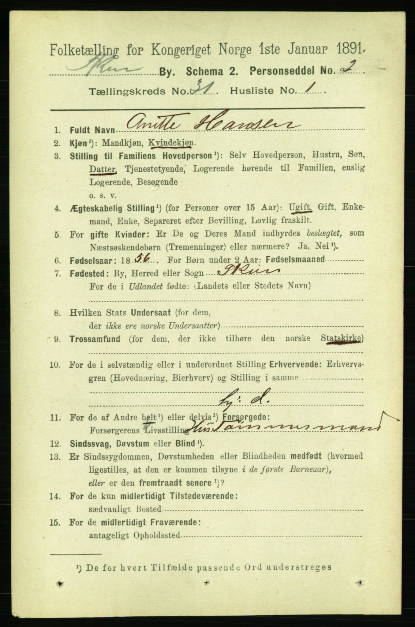 RA, 1891 census for 0806 Skien, 1891, p. 7041