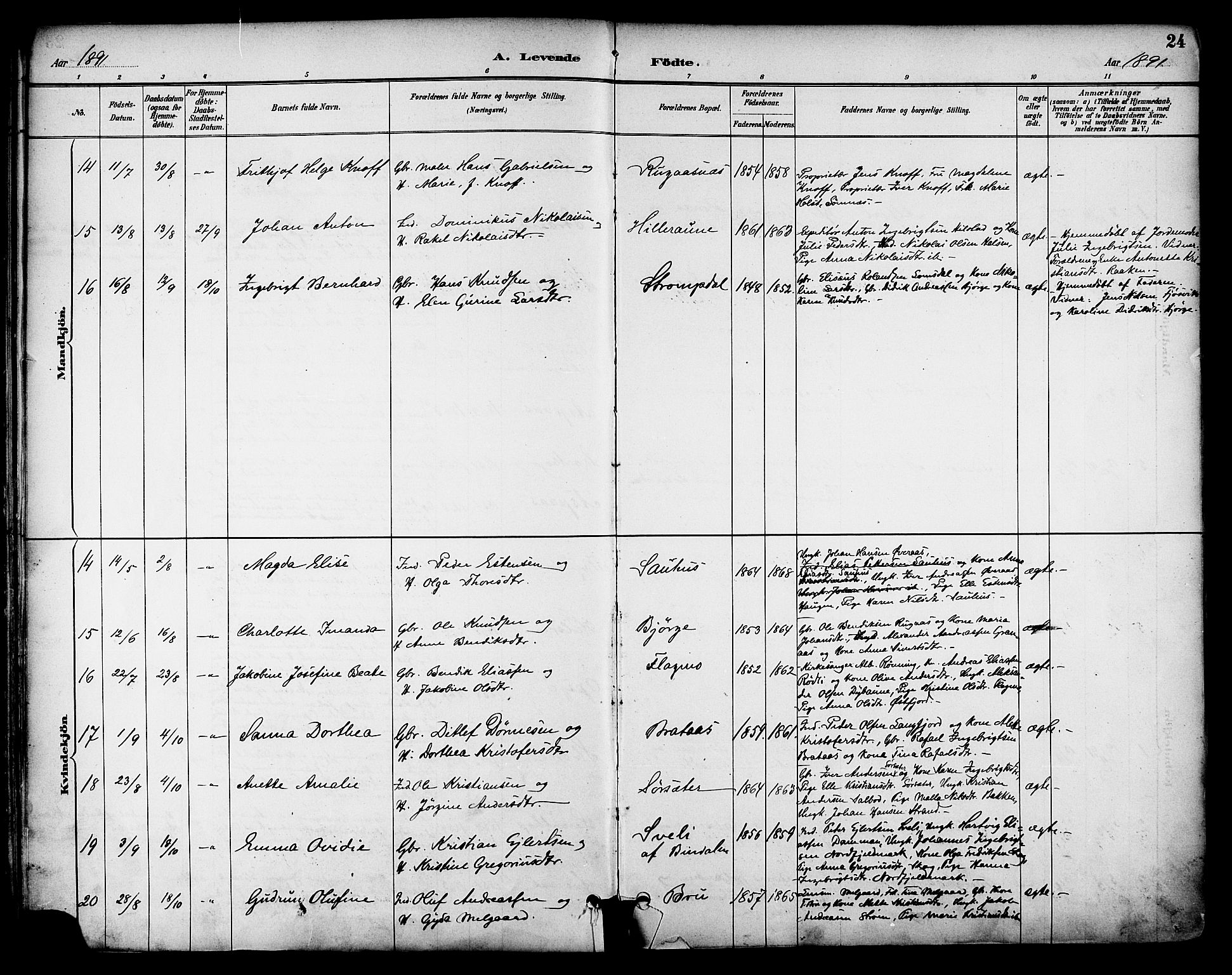 Ministerialprotokoller, klokkerbøker og fødselsregistre - Nordland, AV/SAT-A-1459/814/L0226: Parish register (official) no. 814A07, 1886-1898, p. 24