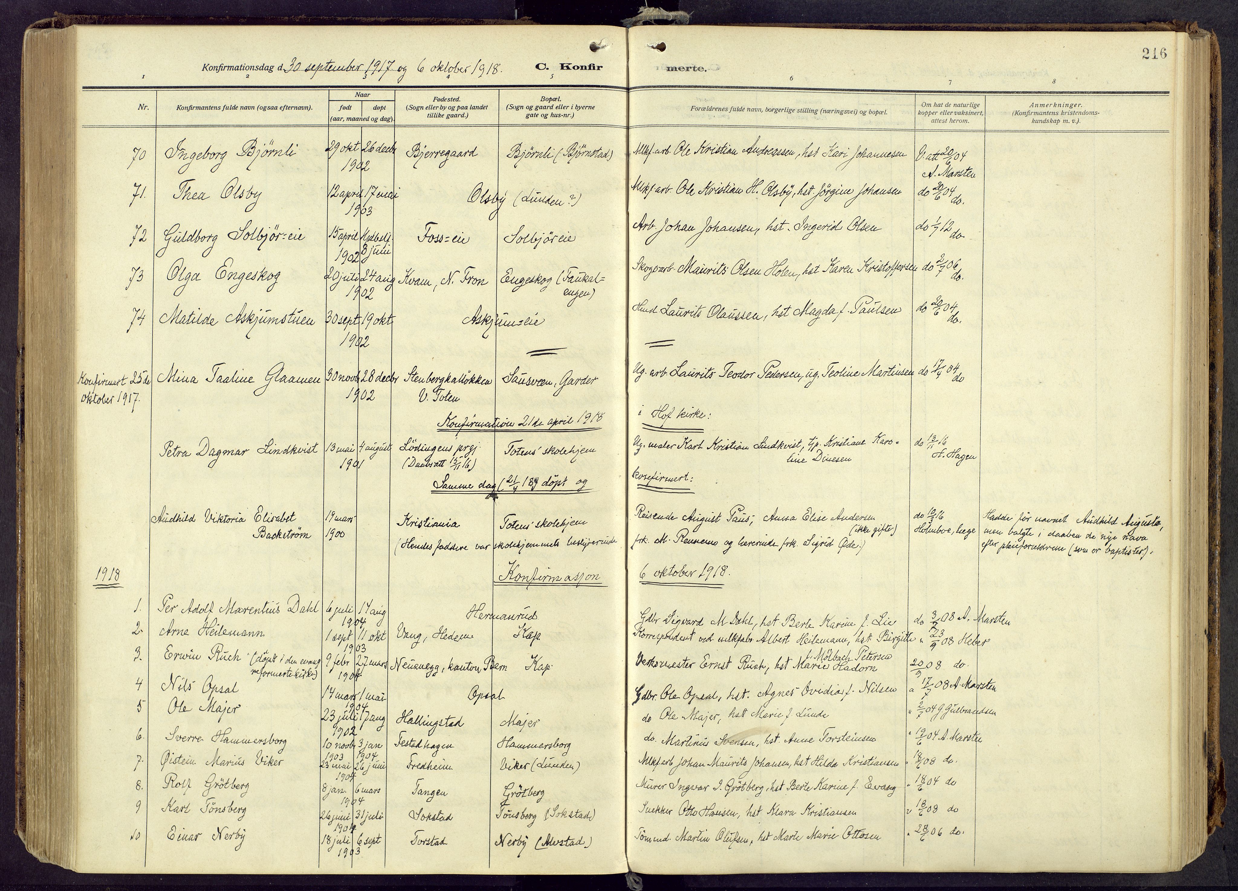 Østre Toten prestekontor, AV/SAH-PREST-104/H/Ha/Haa/L0010: Parish register (official) no. 10, 1910-1920, p. 216