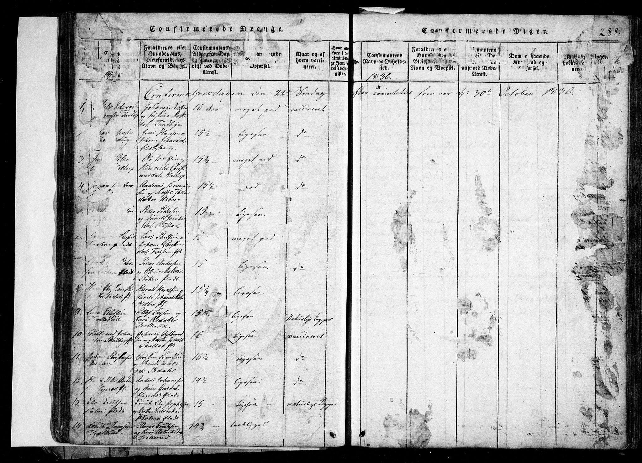 Spydeberg prestekontor Kirkebøker, AV/SAO-A-10924/G/Ga/L0001: Parish register (copy) no. I 1, 1814-1868