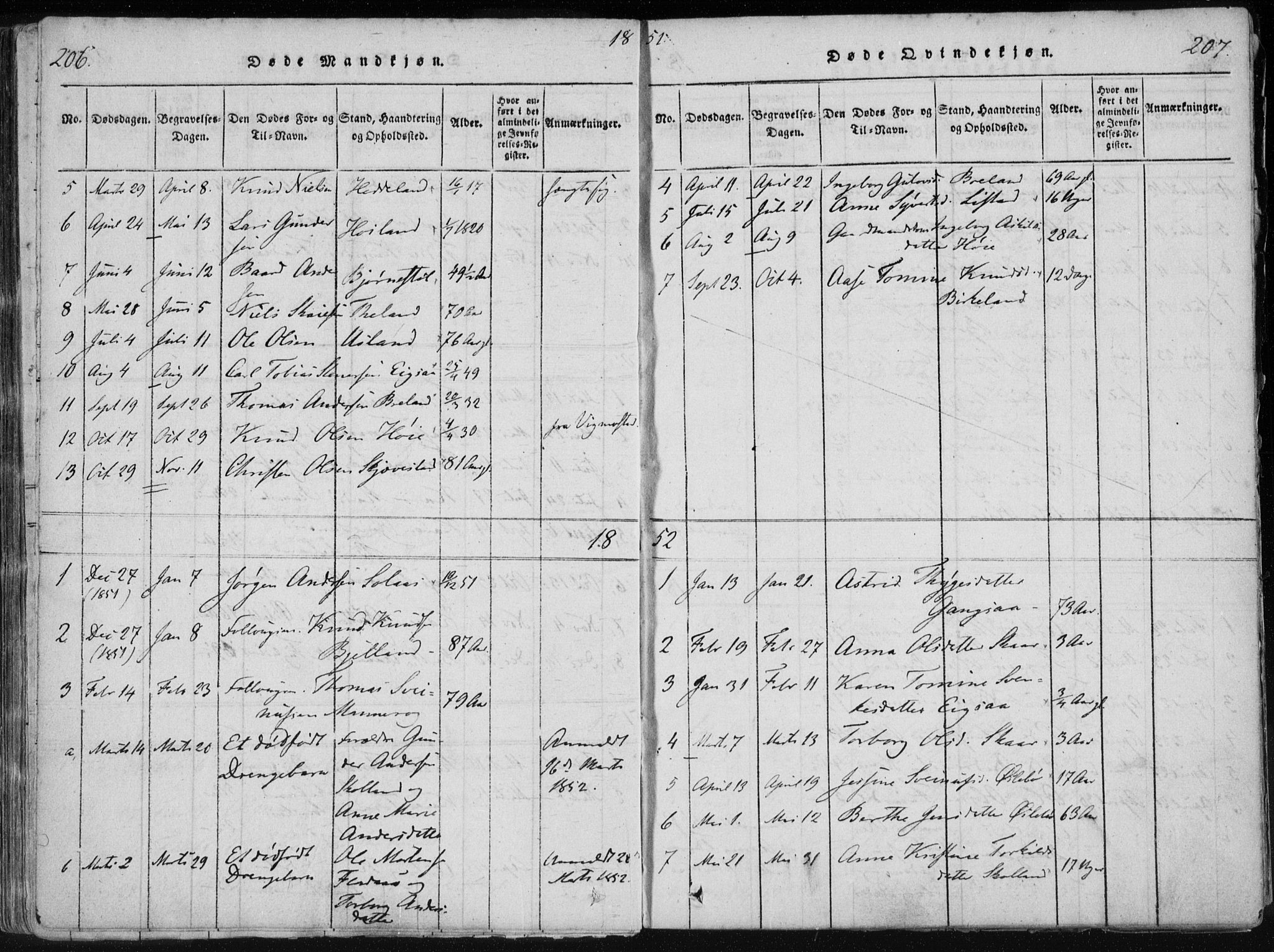Holum sokneprestkontor, AV/SAK-1111-0022/F/Fa/Fac/L0002: Parish register (official) no. A 2, 1821-1859, p. 206-207