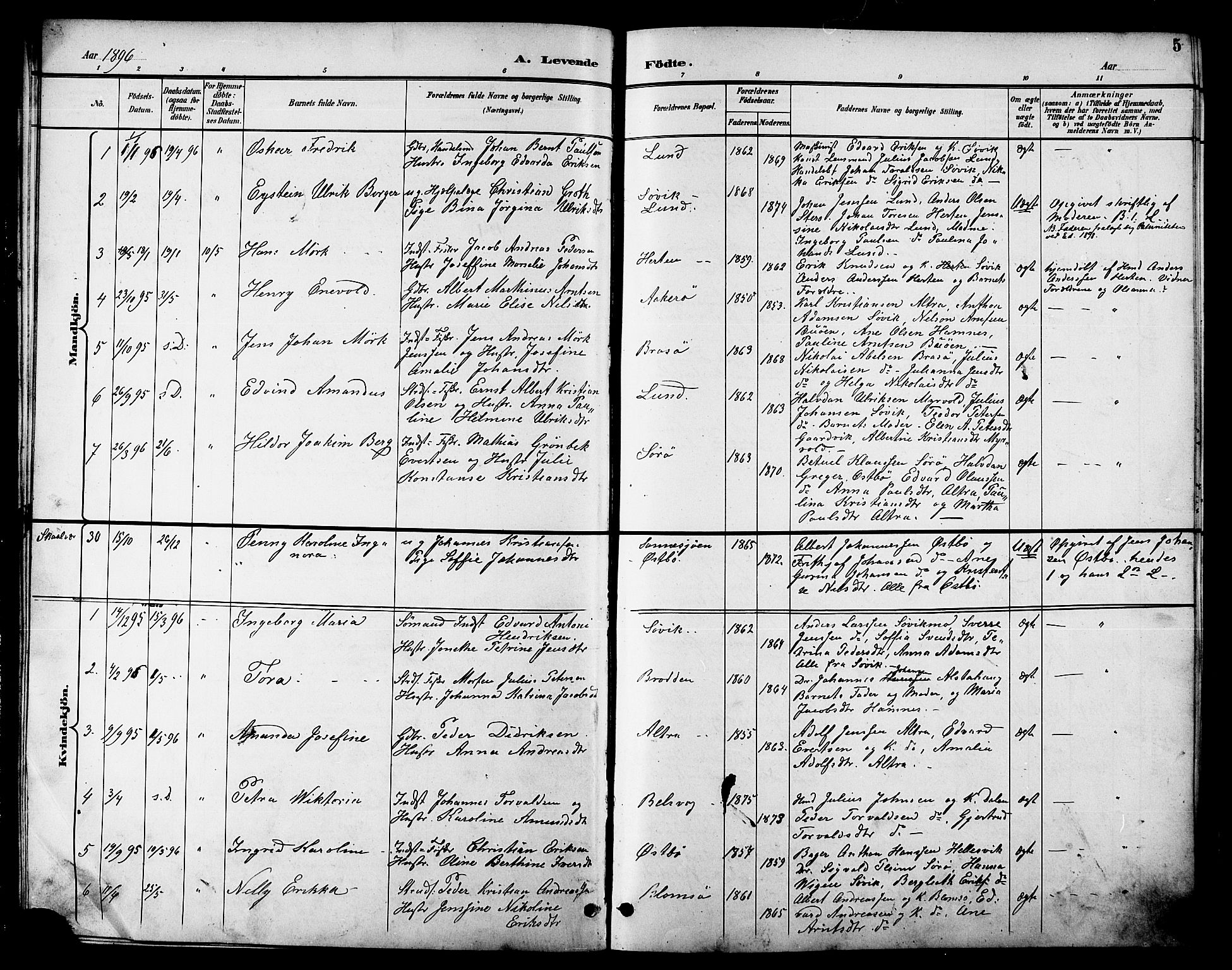 Ministerialprotokoller, klokkerbøker og fødselsregistre - Nordland, SAT/A-1459/830/L0463: Parish register (copy) no. 830C05, 1895-1906, p. 5