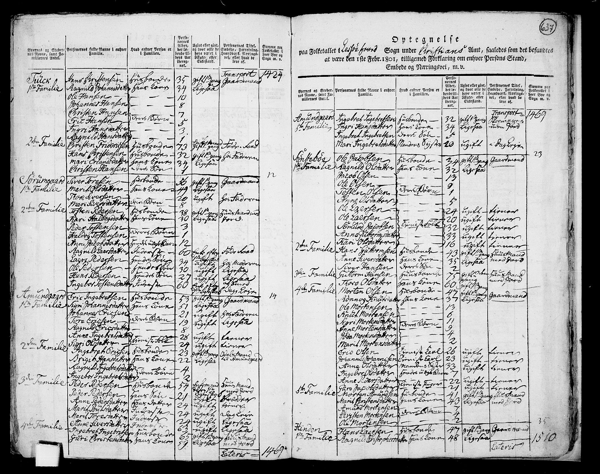 RA, 1801 census for 0512P Lesja, 1801, p. 636b-637a