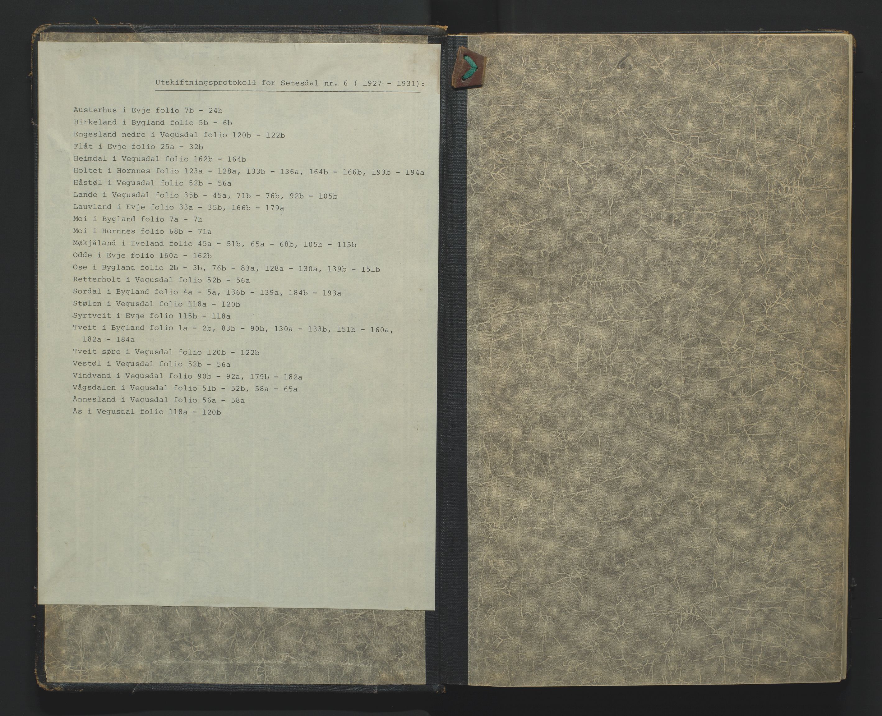 Utskiftningsformannen i Nedenes amt, AV/SAK-1541-0002/F/Fa/Fac/L0005: Jordskifteprotokoll med register, Setesdal domssokn nr 6, 1927-1931