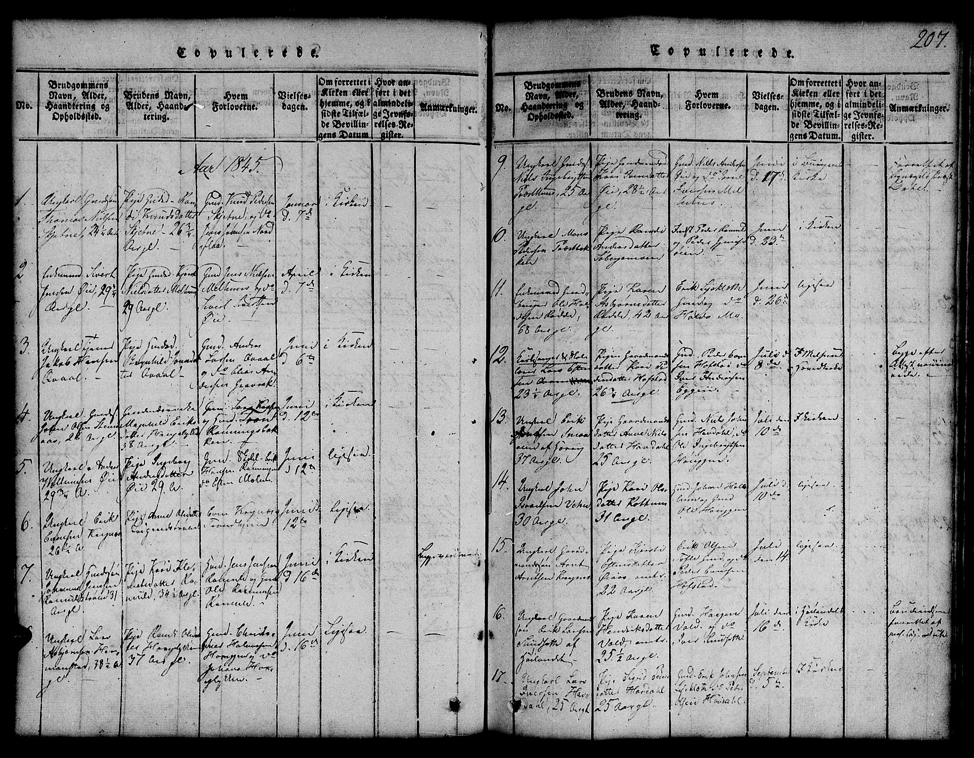 Ministerialprotokoller, klokkerbøker og fødselsregistre - Sør-Trøndelag, AV/SAT-A-1456/691/L1092: Parish register (copy) no. 691C03, 1816-1852, p. 207