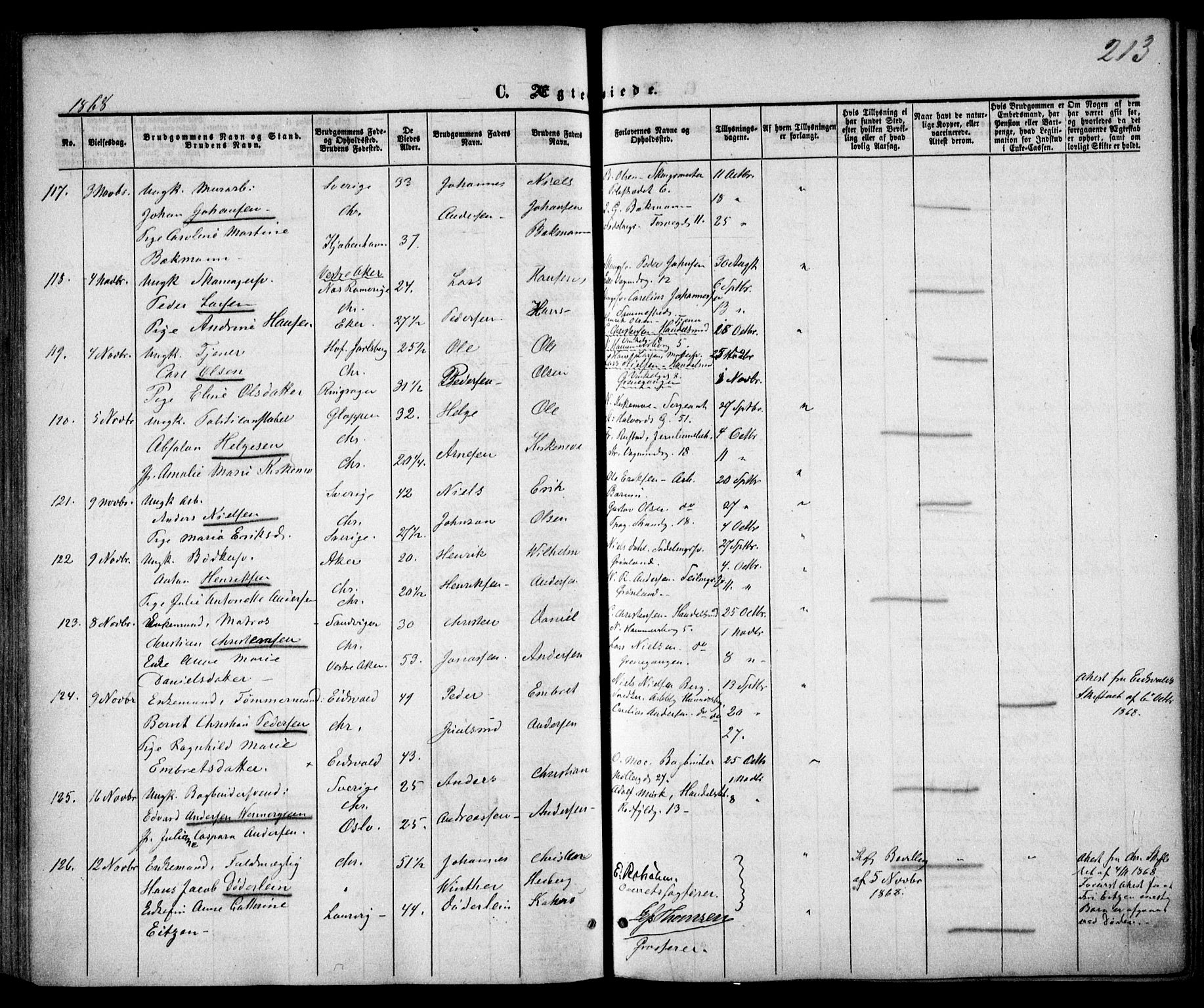 Trefoldighet prestekontor Kirkebøker, SAO/A-10882/F/Fc/L0001: Parish register (official) no. III 1, 1858-1874, p. 213