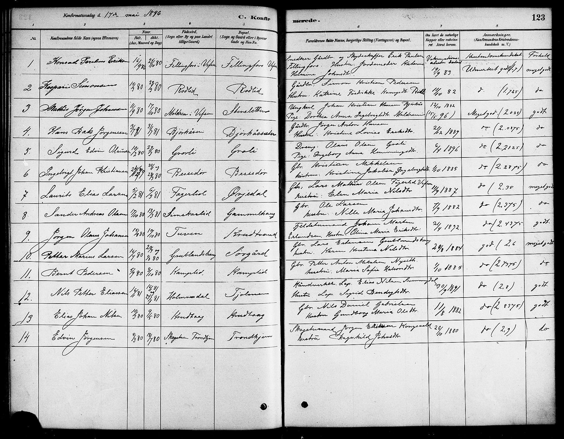 Ministerialprotokoller, klokkerbøker og fødselsregistre - Nordland, SAT/A-1459/823/L0330: Parish register (copy) no. 823C02, 1879-1916, p. 123